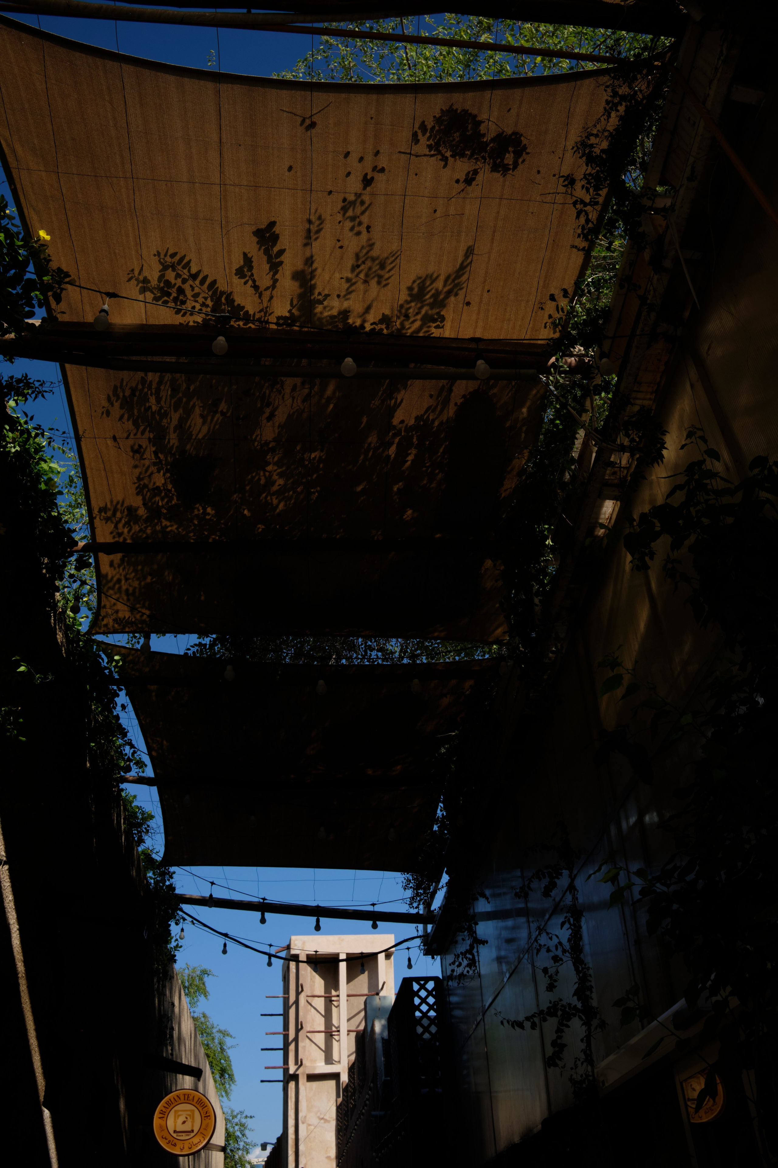 Дубай. Елена Павленко. Фотограф. Москва