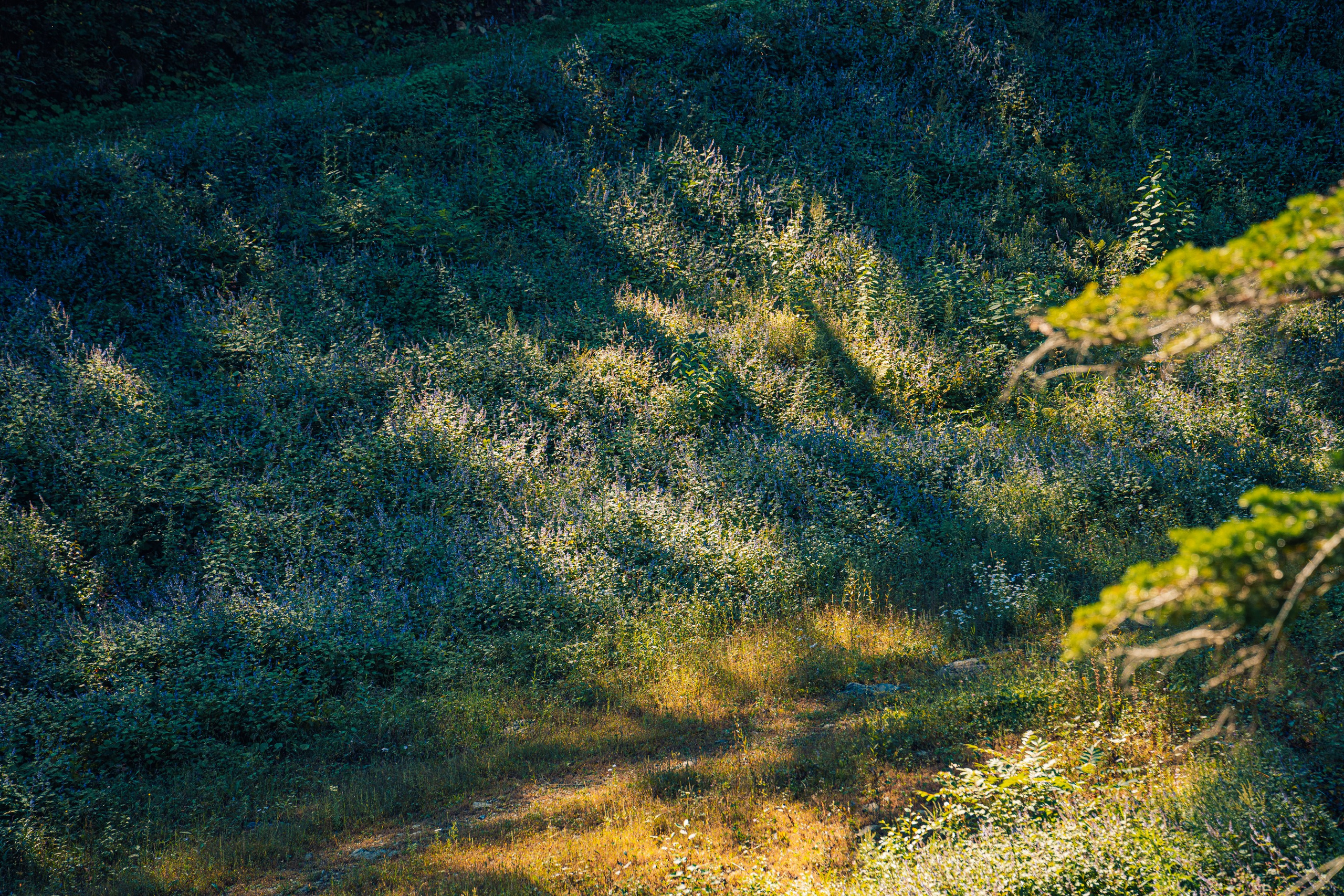 Гора Литовка (Фалаза). Иван Зайцев (IZIART) — создание культурного кода через фото и видео