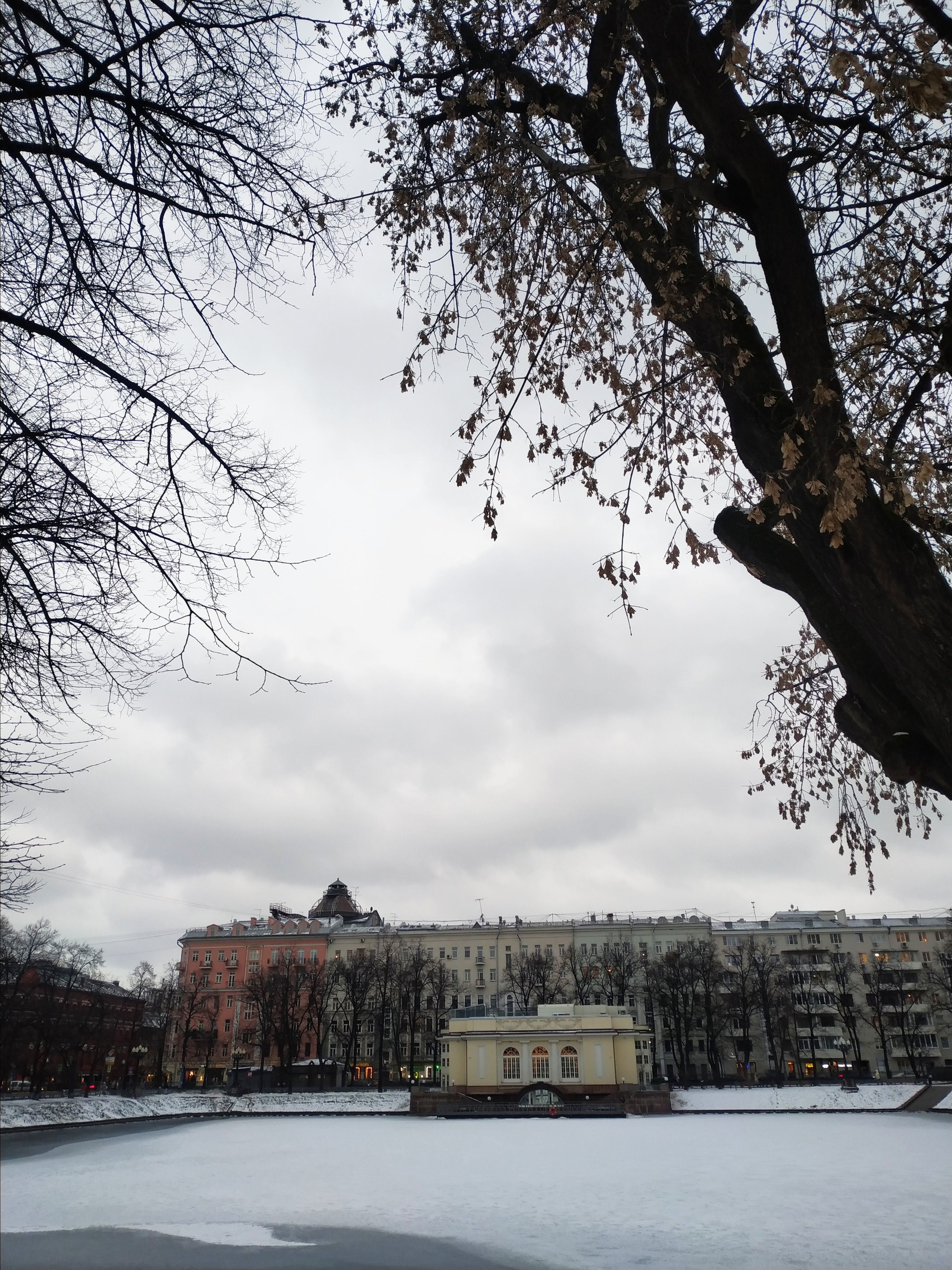 Хочу новогодние фотографии