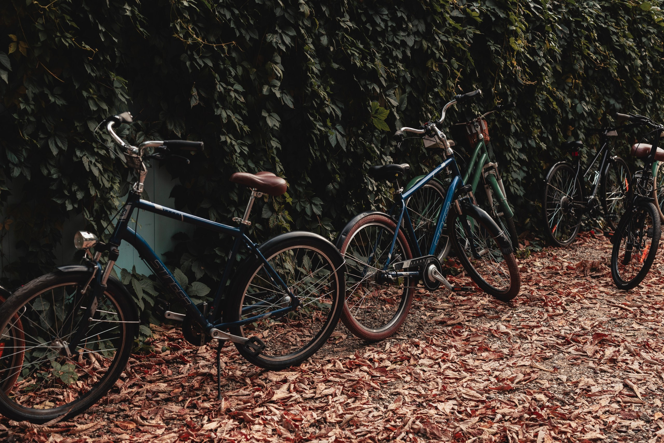 Tweed Hat Ride 2024. Фотографирую стиль