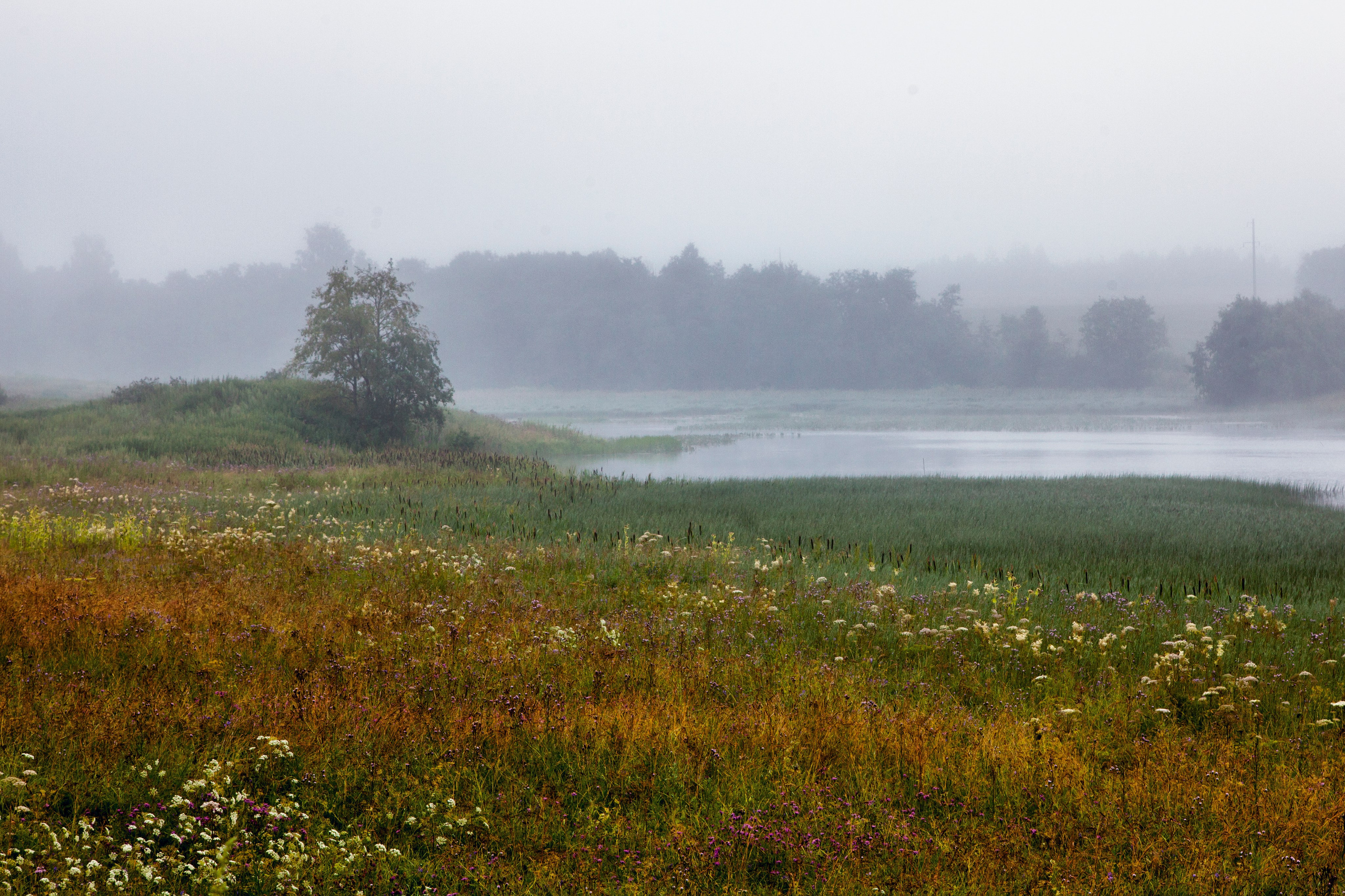 Тишина. Свадьбы, портретная, предметная съемка. Фотограф Александр К