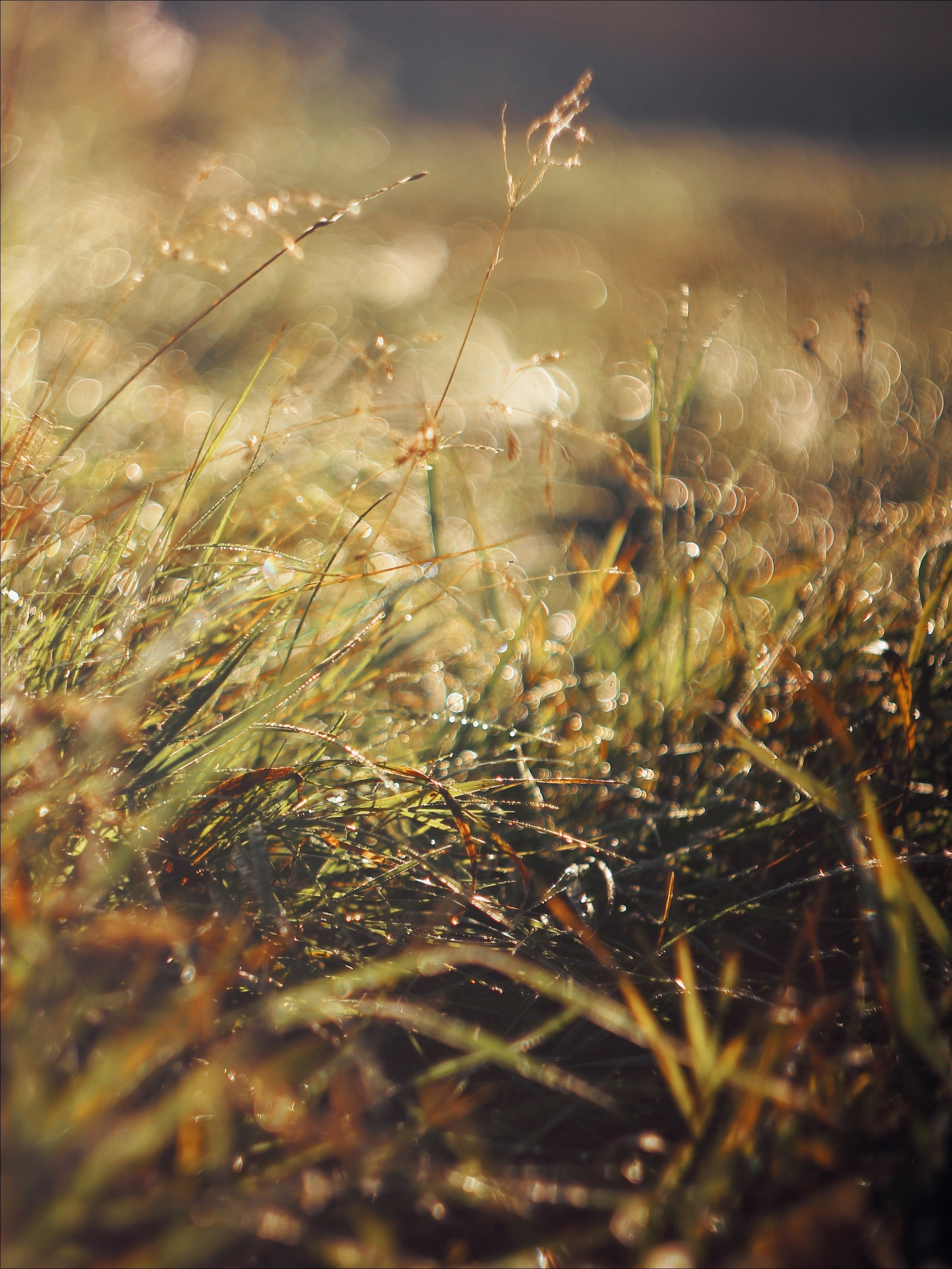 Опустошенность. С любовью, фотохудожник