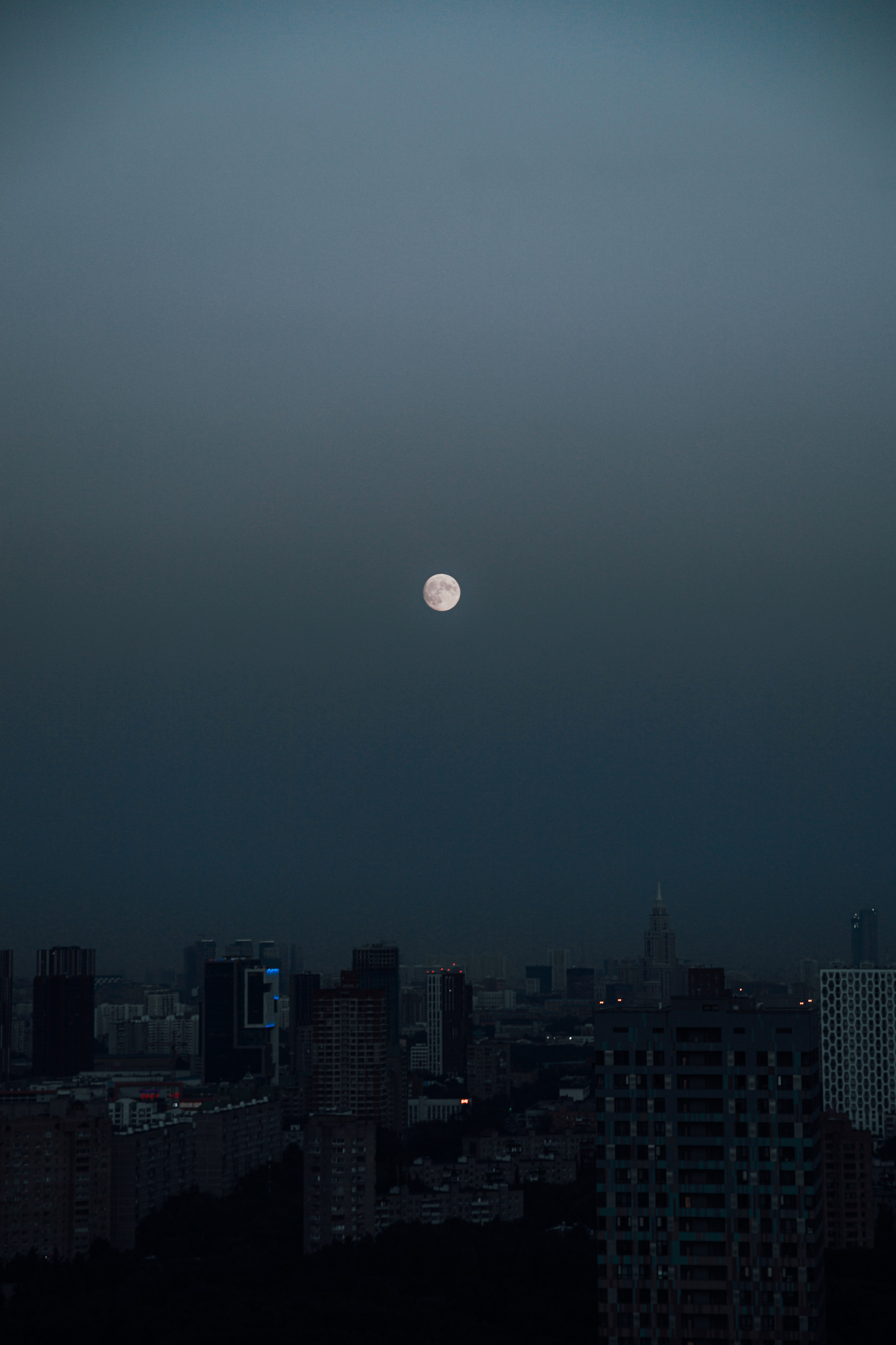 Постеры. Roycoreroy