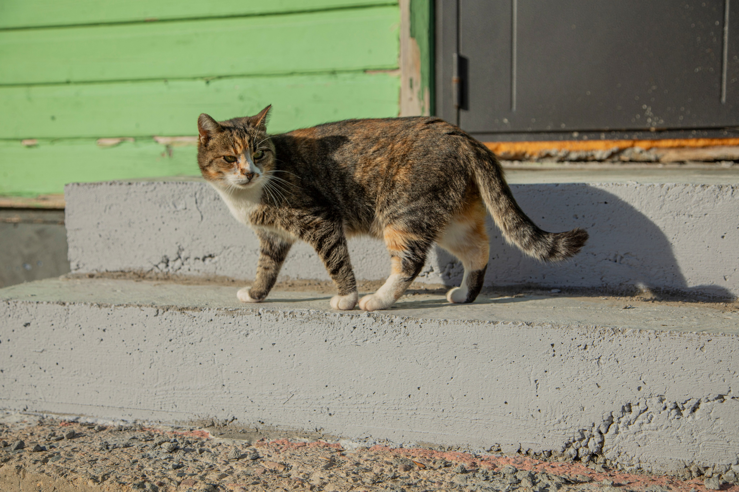 Воскресенье в г. Дмитров. Фотограф Сергей Ловкий