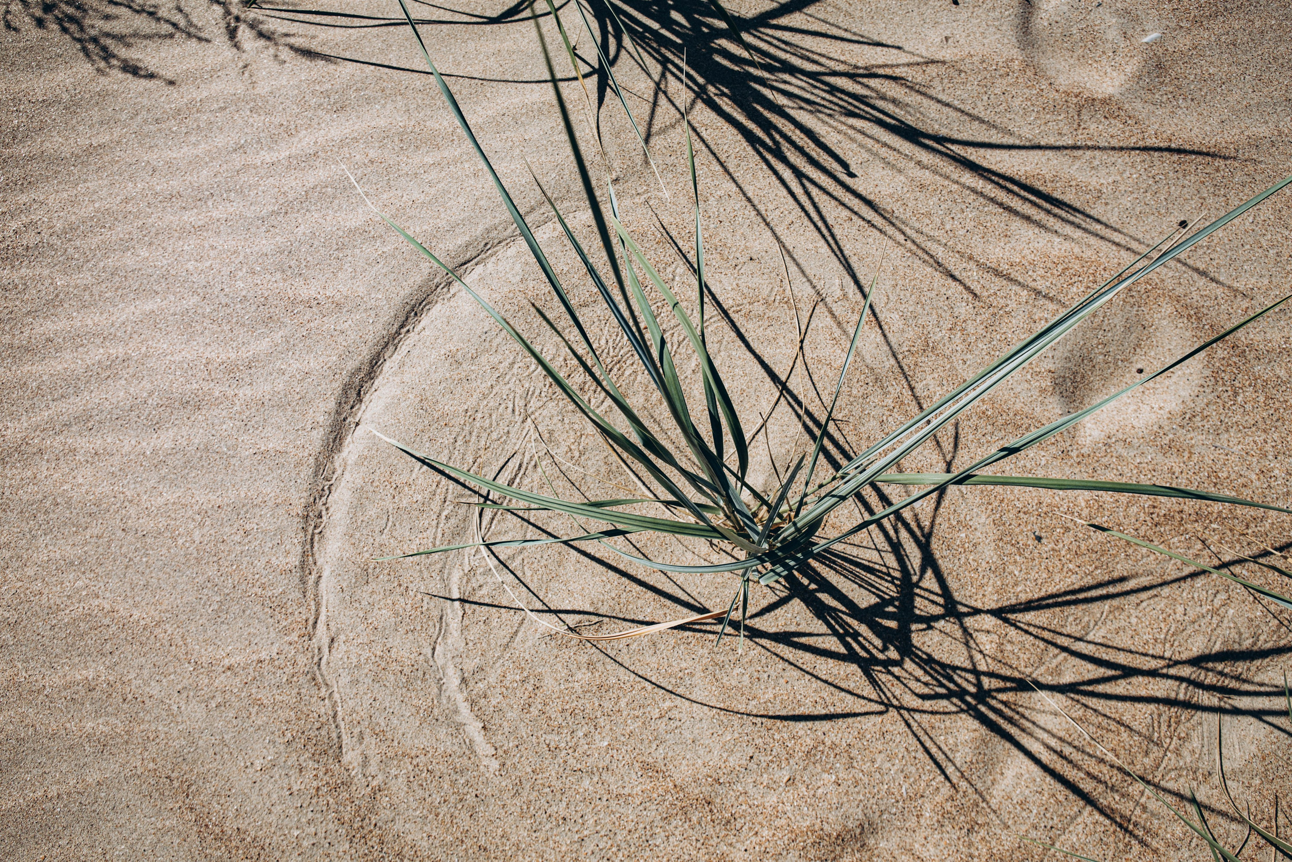 Путешествия говорят. Портретный женский фотограф в Москве Наталия Глазова