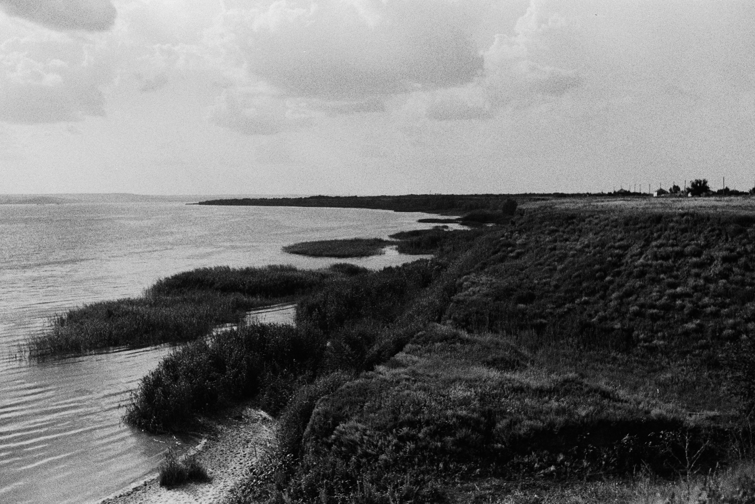 Эхо черемухи (2022 — 2025). Главная