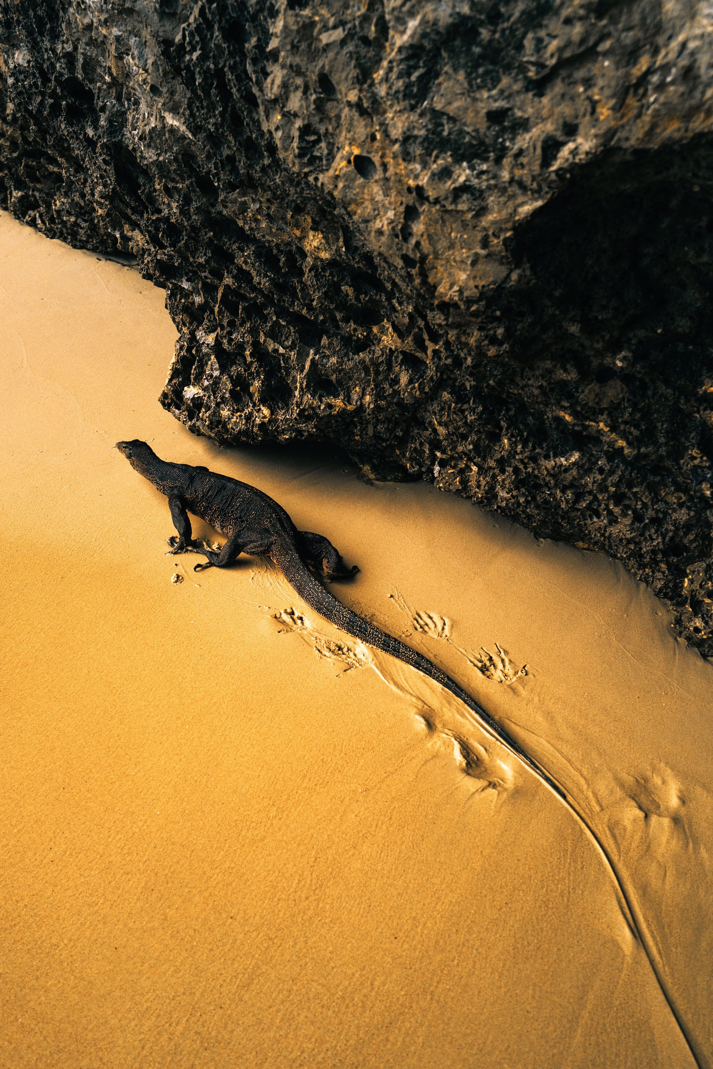 AUTHENTIC FILM. Visual artist Daniil Kontorovich