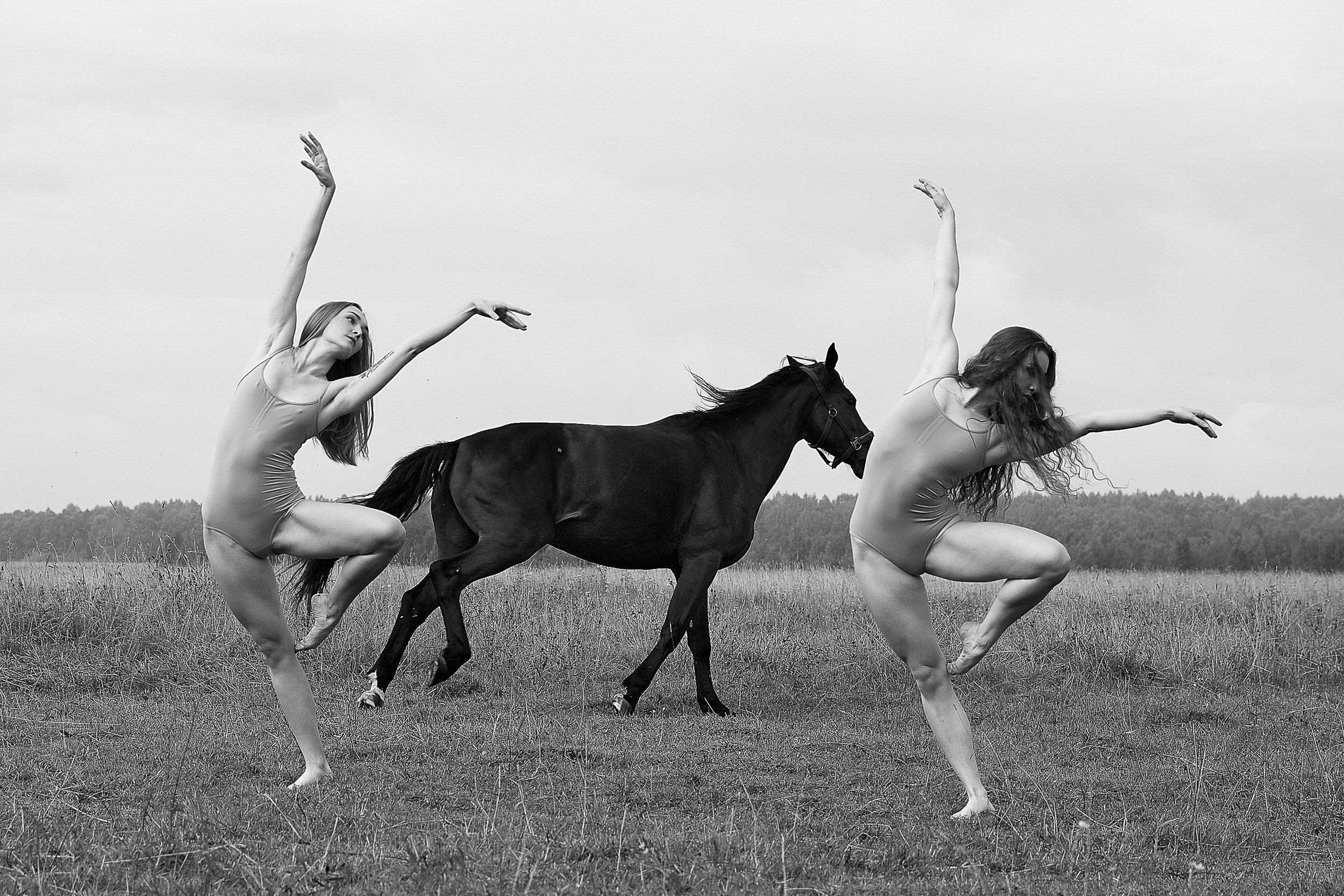 Балет и лошади, фотосессия «ГРАЦИЯ и СИЛА-1» Фотограф Михаил Семенов г. Ярославль