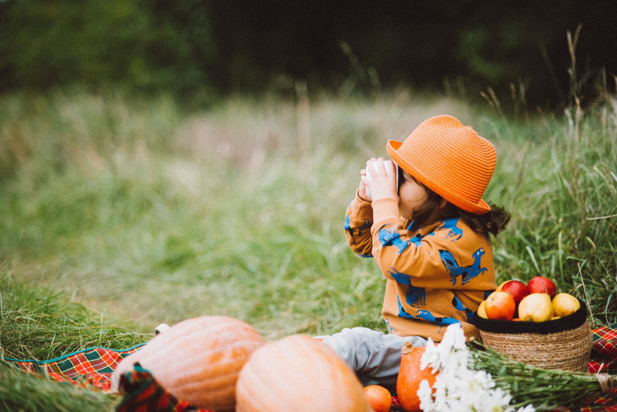 Фотограф|КРЫМ| Владимир Комок