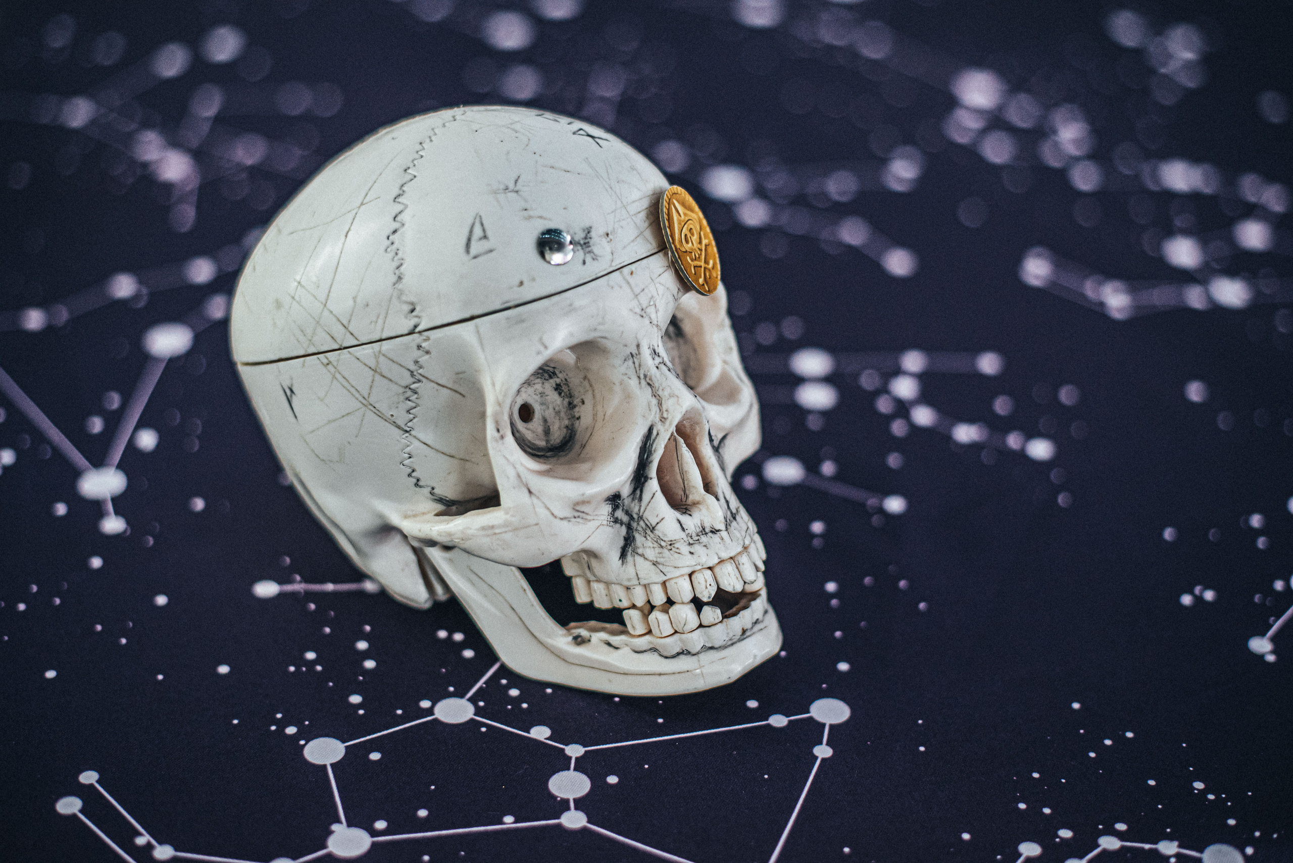 Фотосессия день рождения в ресторане Приморье. Фотограф|КРЫМ| Владимир Комок