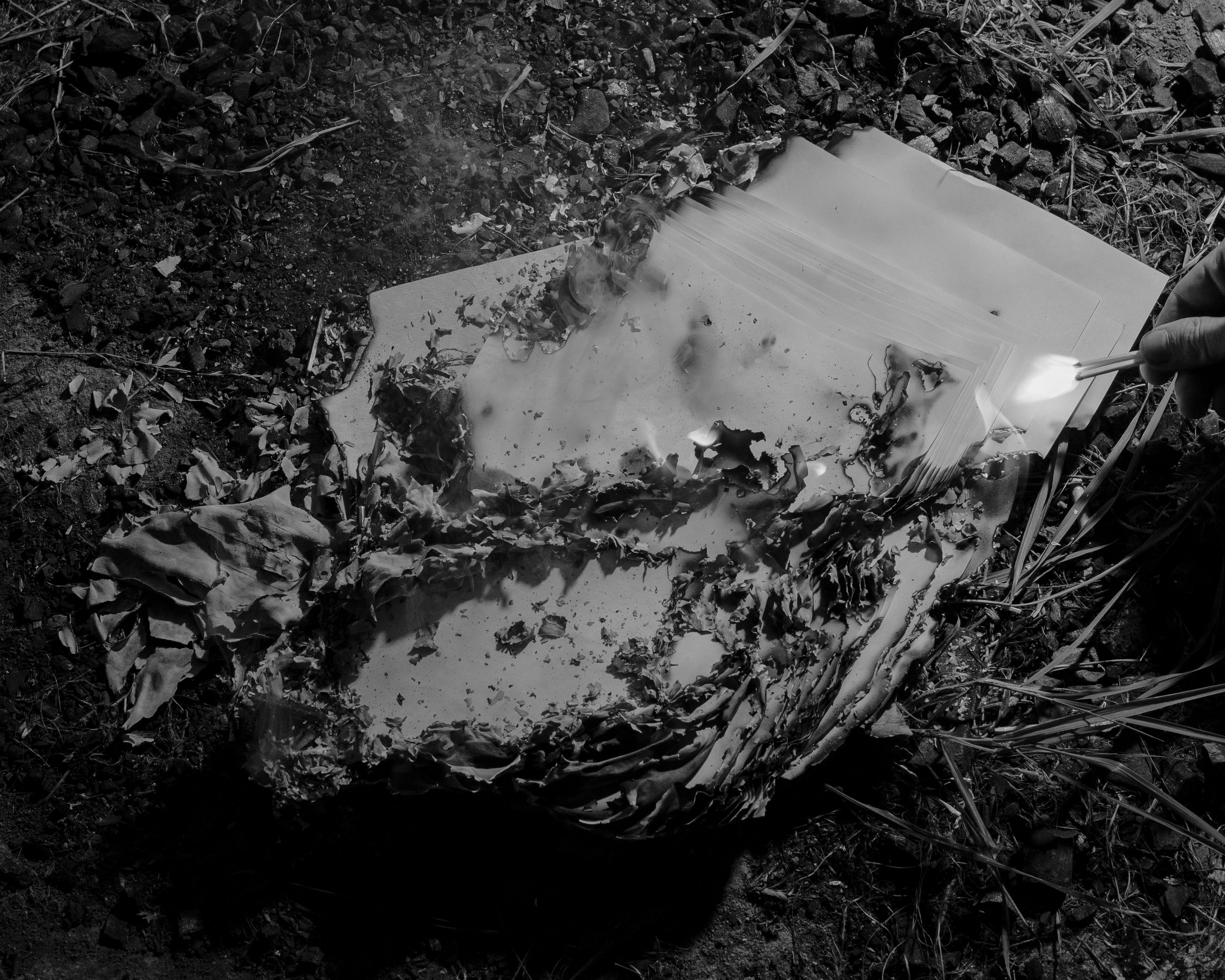 Fruits still falls from apple trees. Kristina Sergeeva