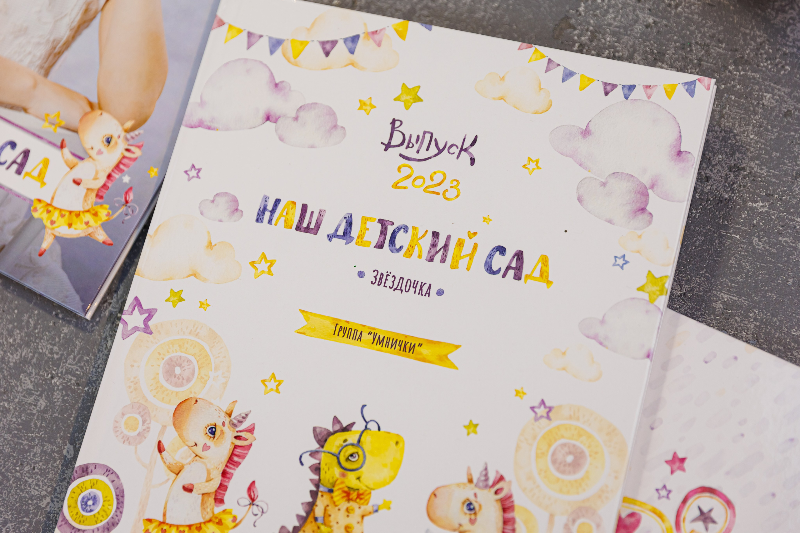 Альбомы для учителей и воспитателей. Семейный и детский фотограф Комина Елена, Власиха, Одинцово