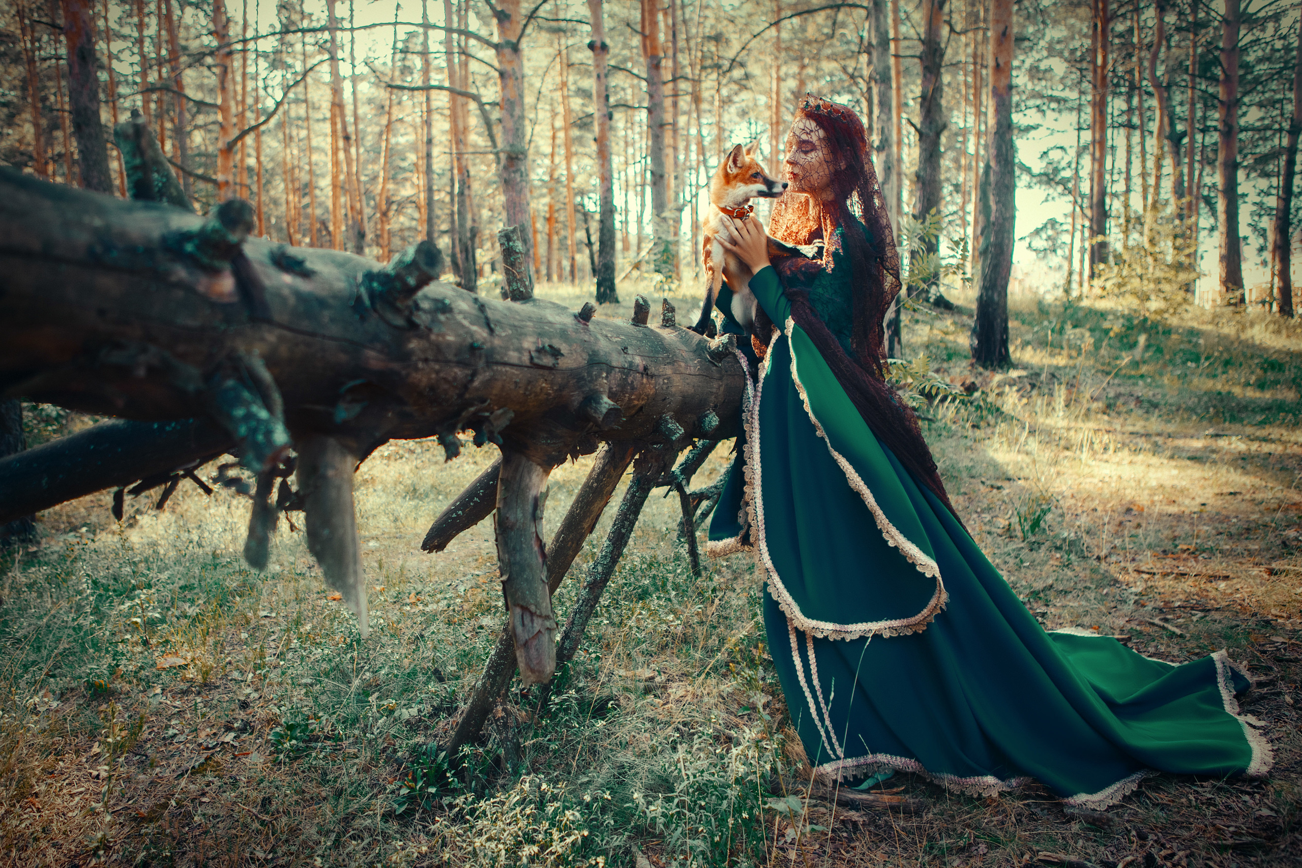 Fox. Art photographer Katerina Klio