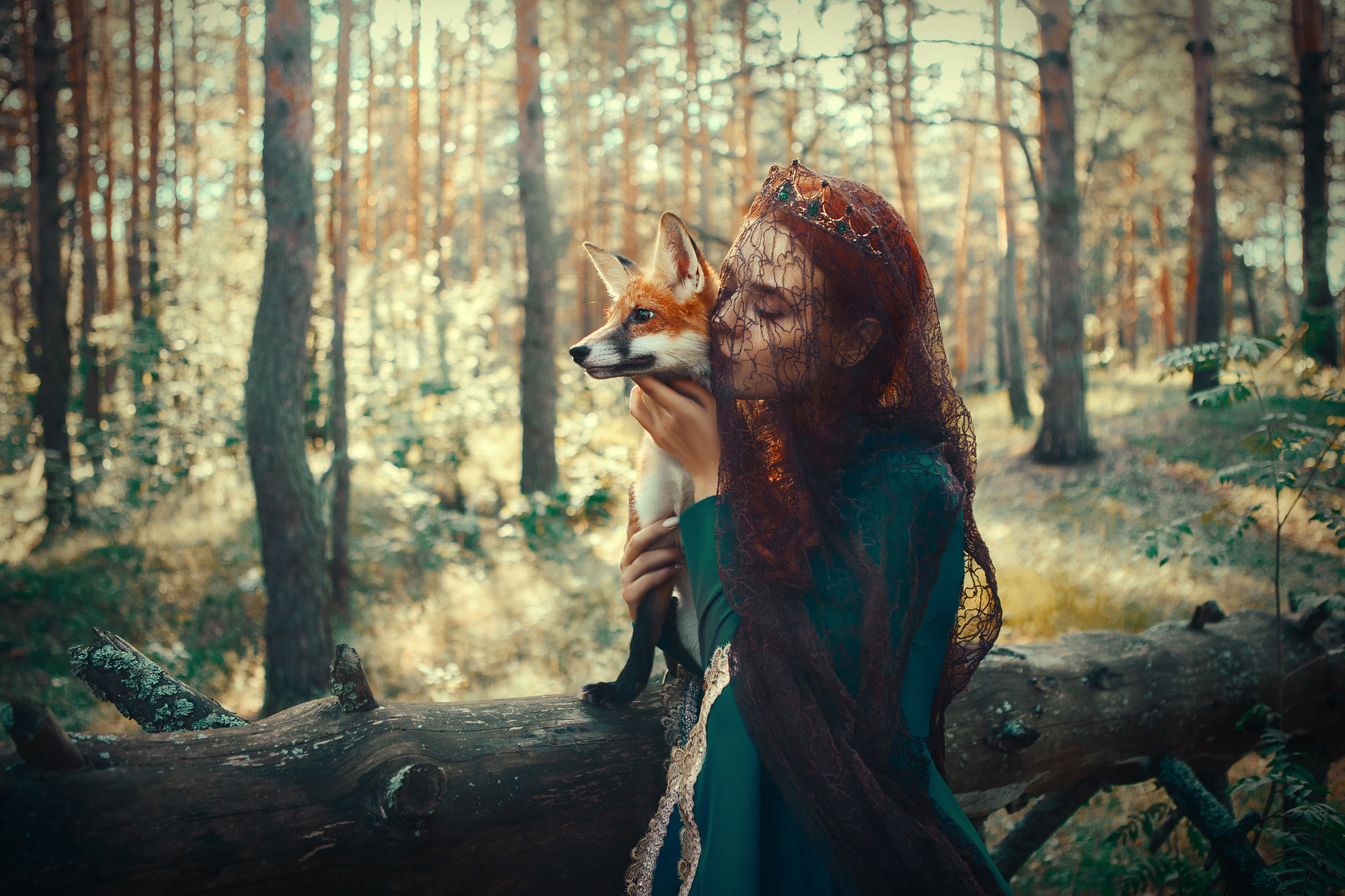 Fox. Art photographer Katerina Klio