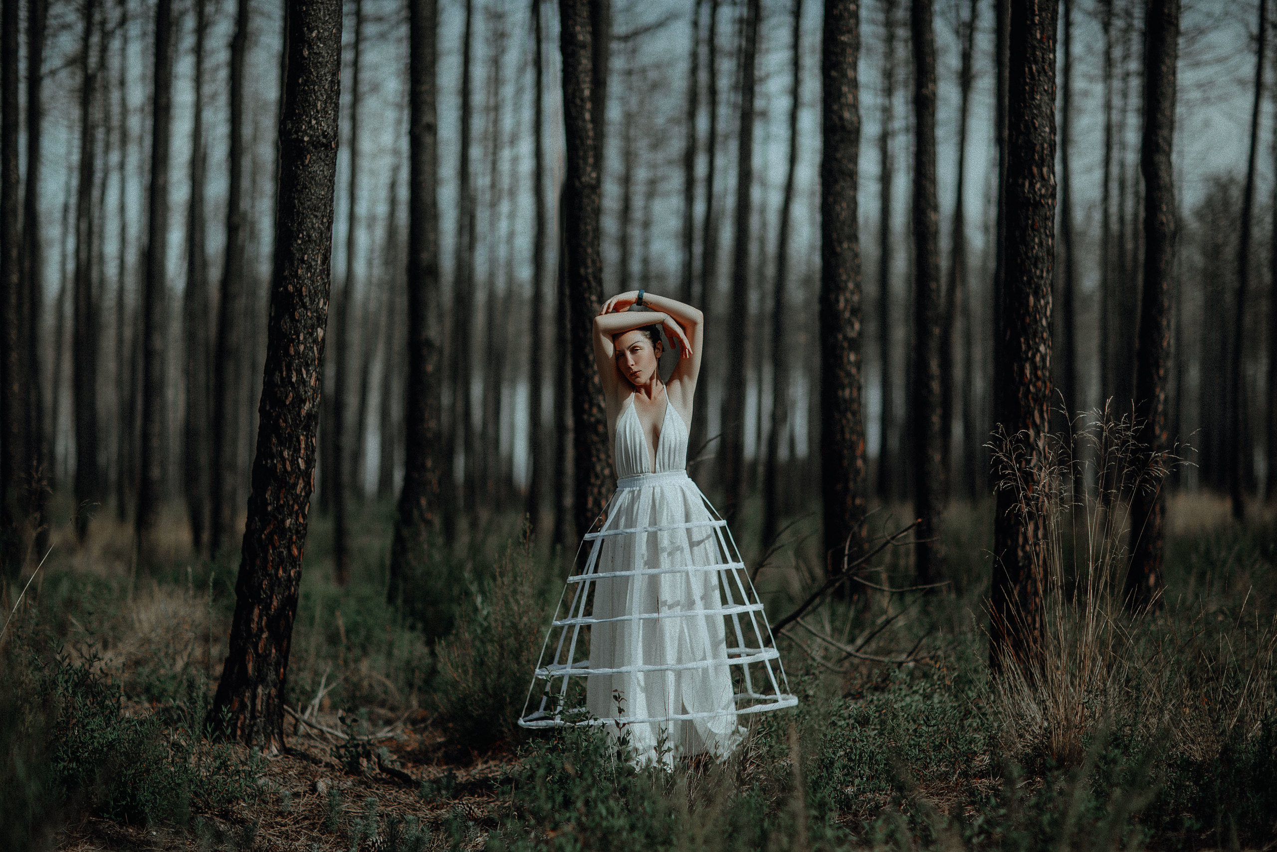 Eucalyptus. Art photographer Katerina Klio