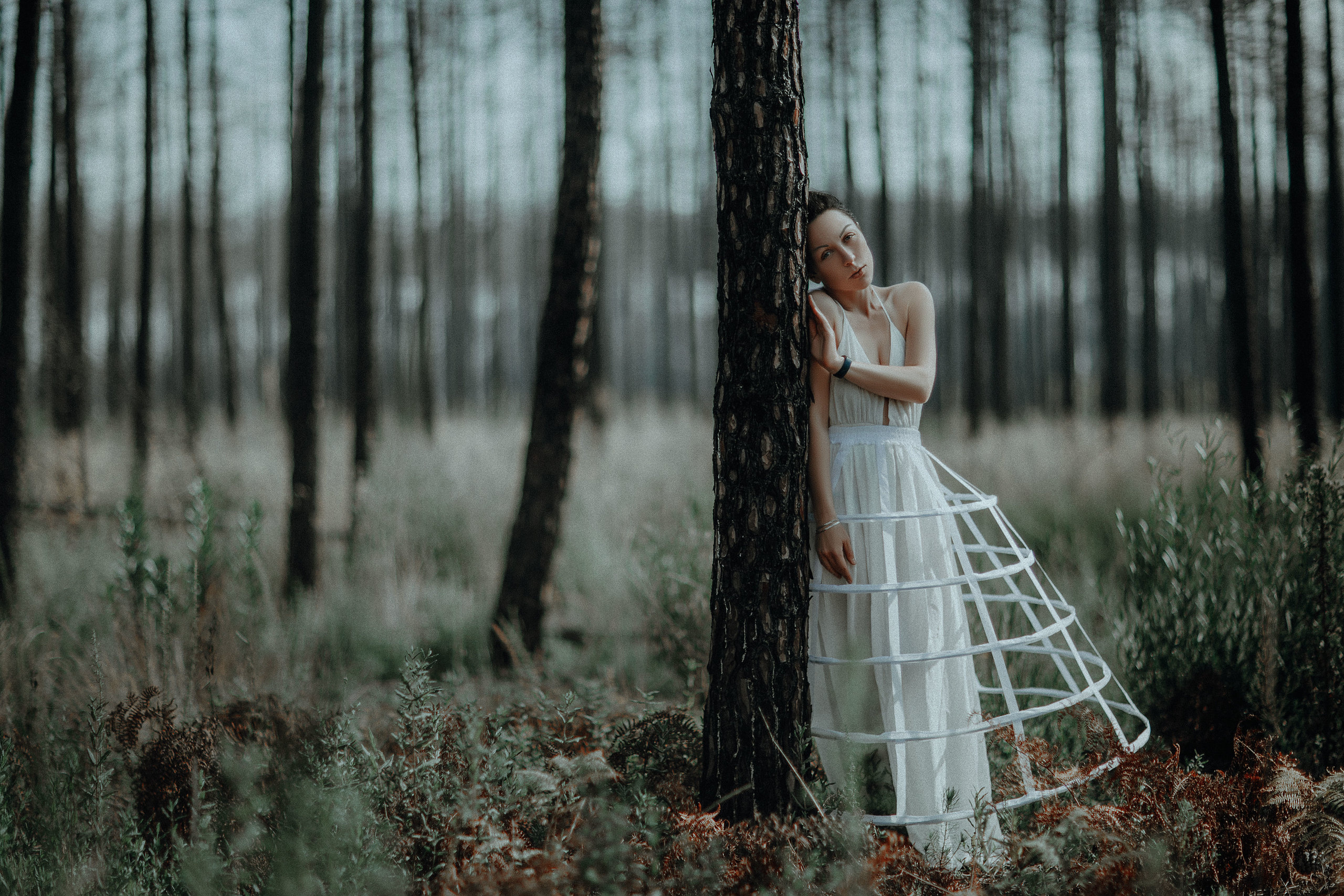 Eucalyptus. Art photographer Katerina Klio