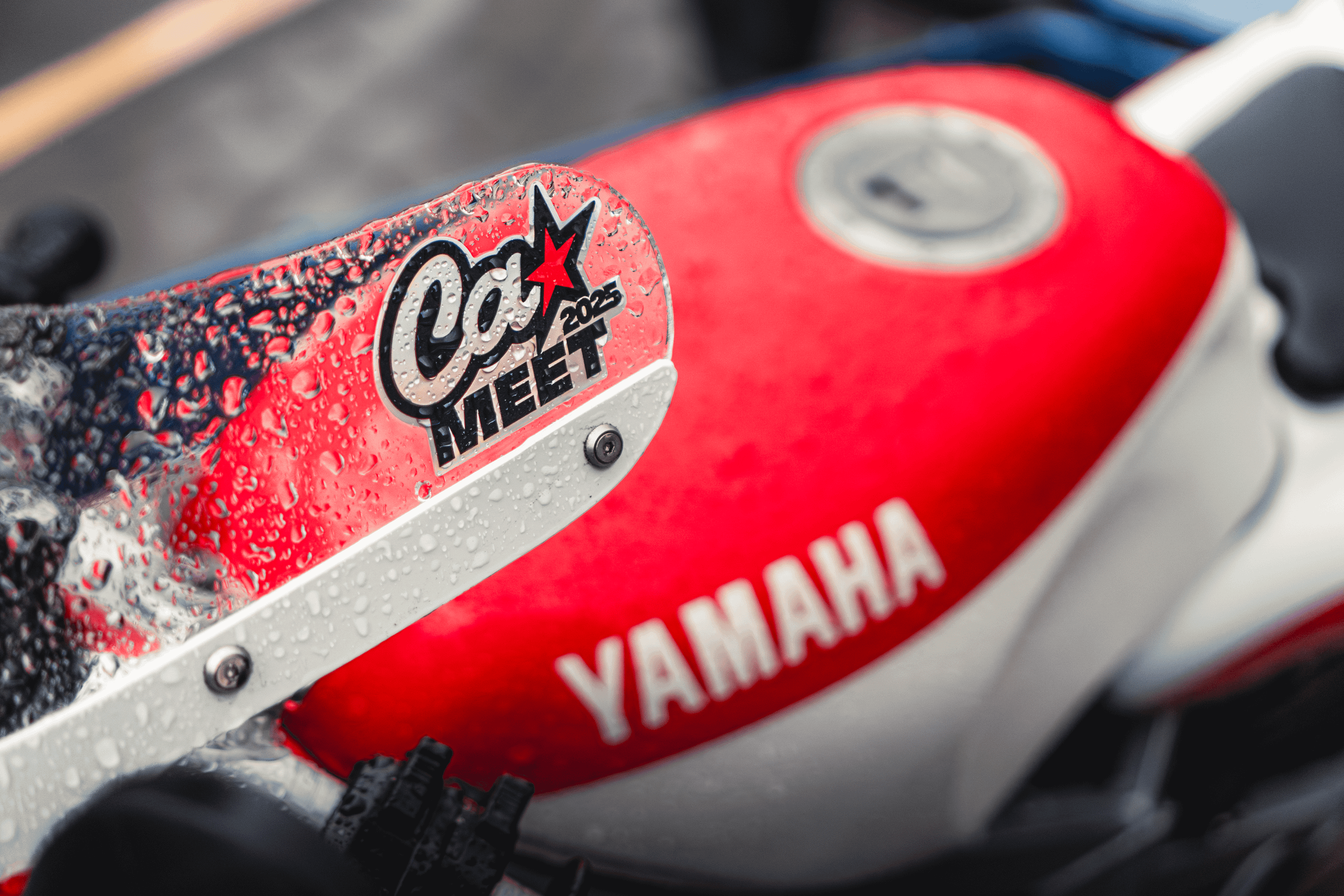 Ciay Meet: дождь для мита не помеха!