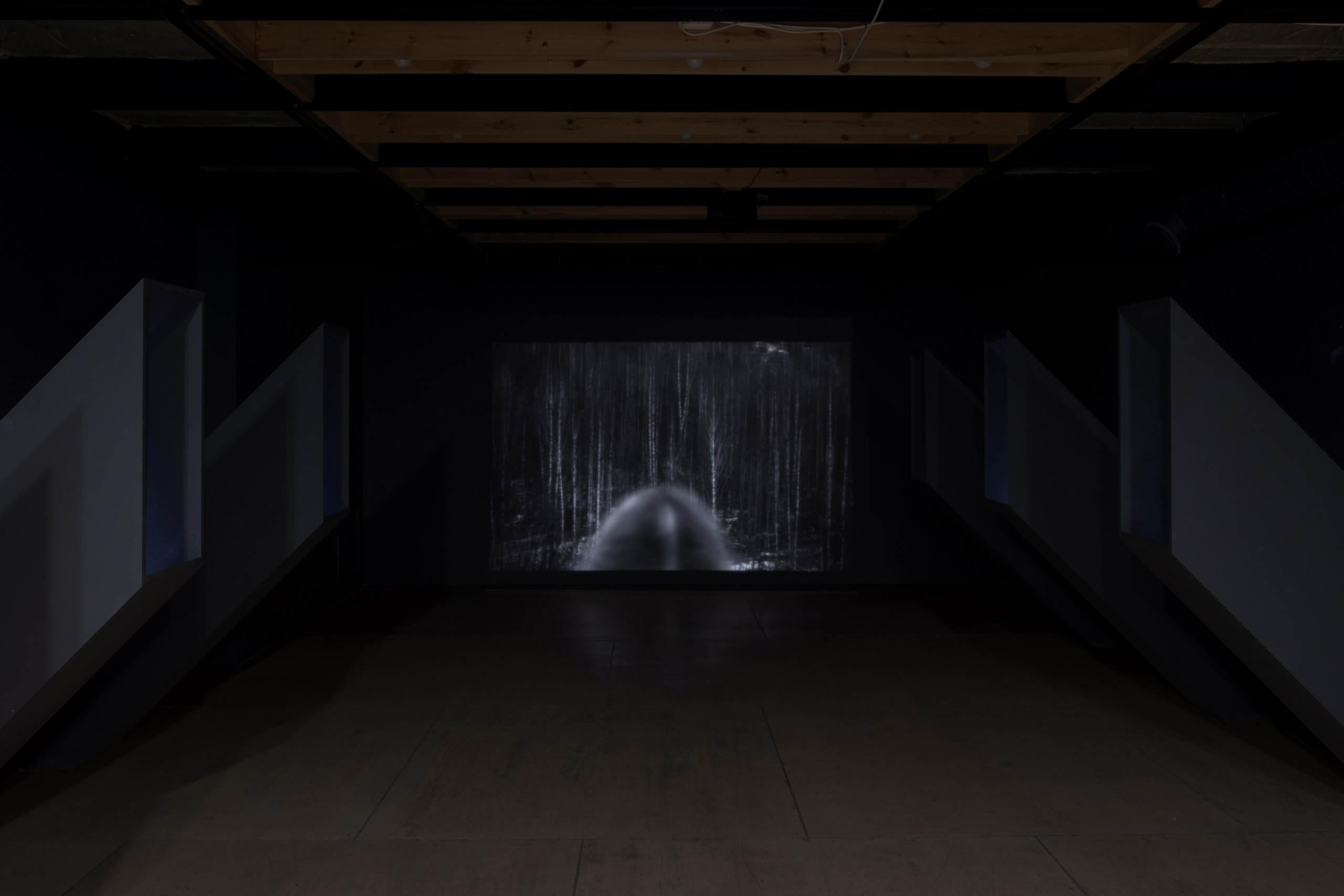 Нежные бабы. Что мне делать, чтобы земля оставалась на месте. Художественная группа «Нежные Бабы»