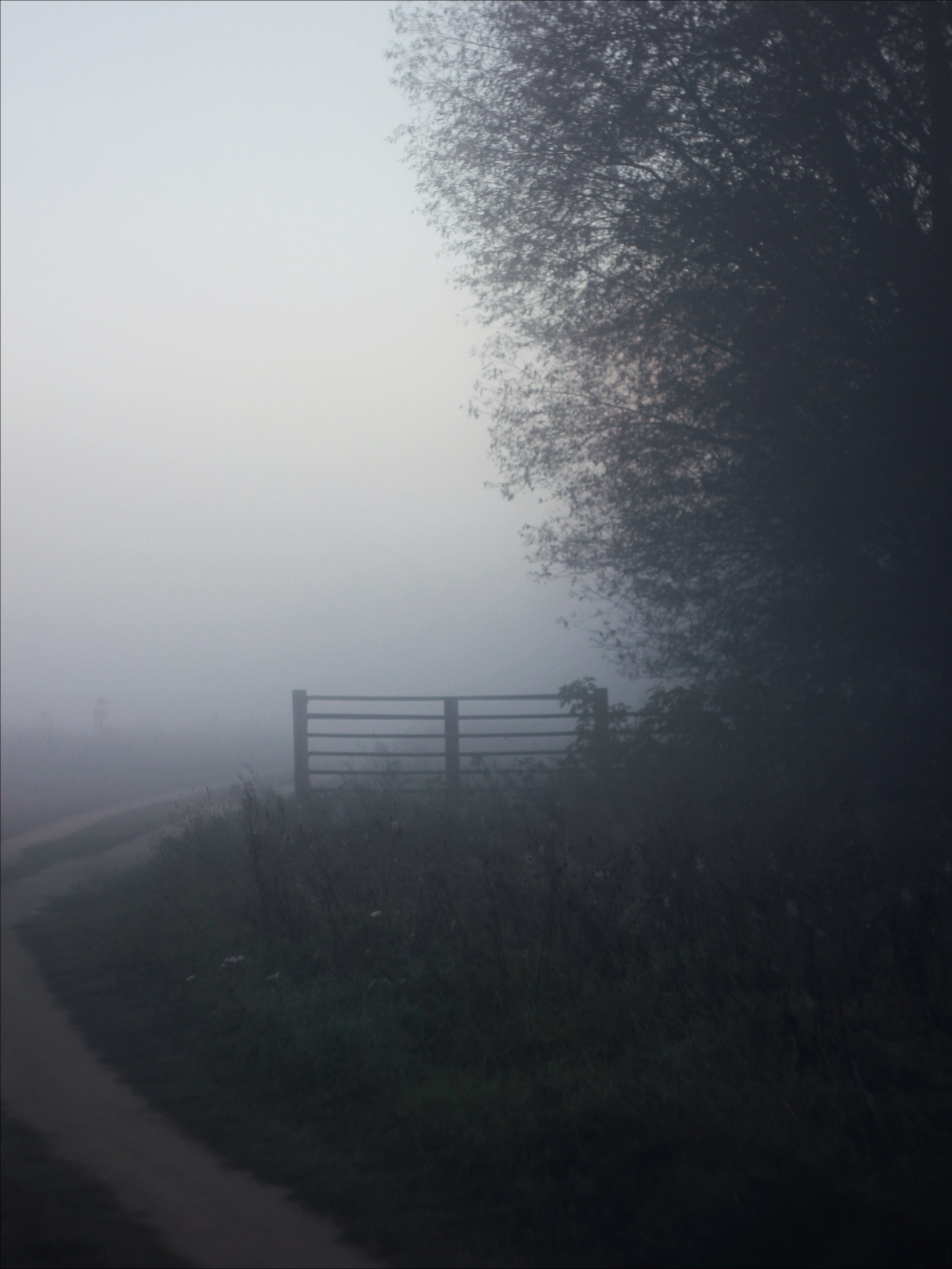 Опустошенность. С любовью, фотохудожник