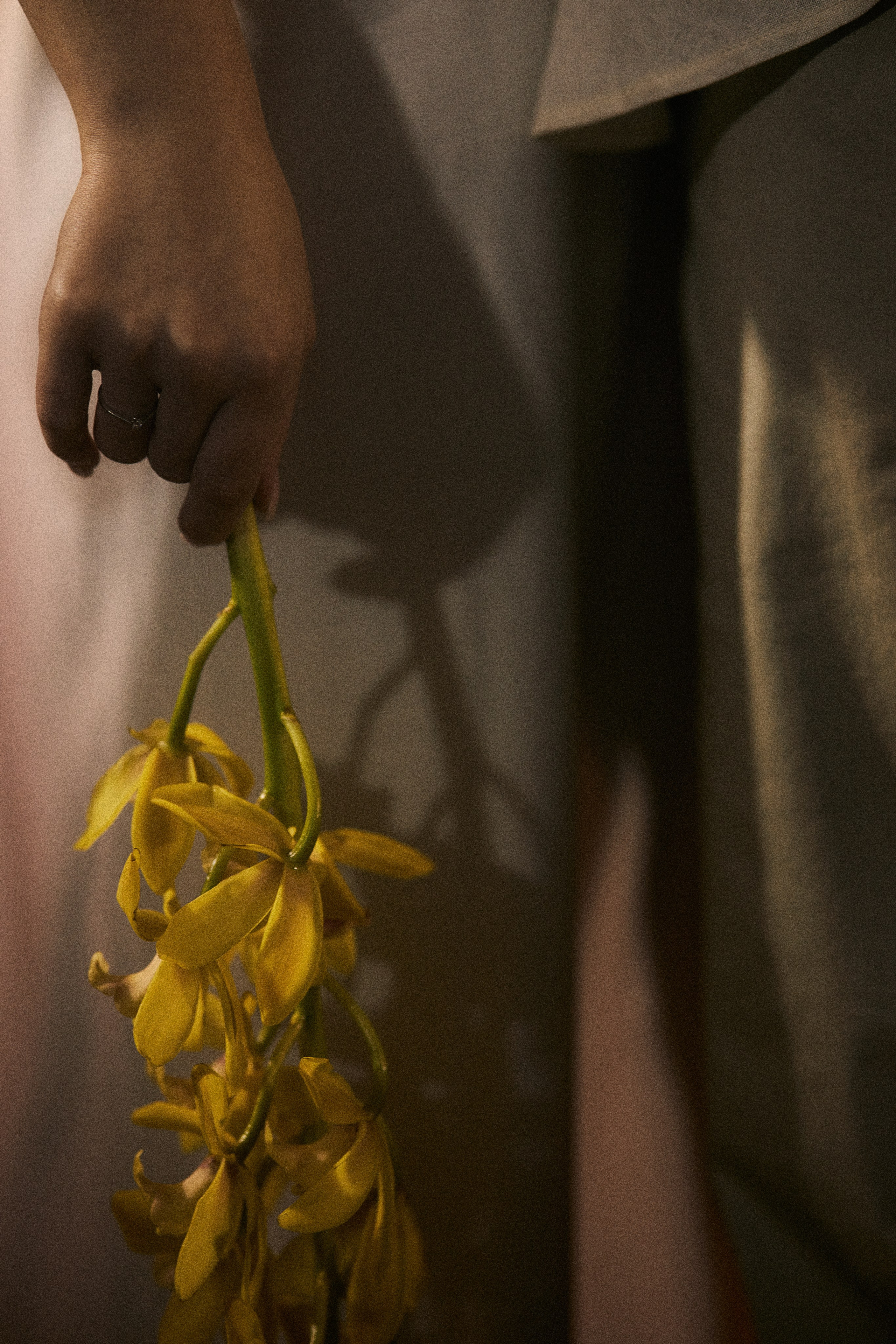 ВЫСШЕЕ СОЗНАНИЕ. Свадебный фотограф Анна Чащухина