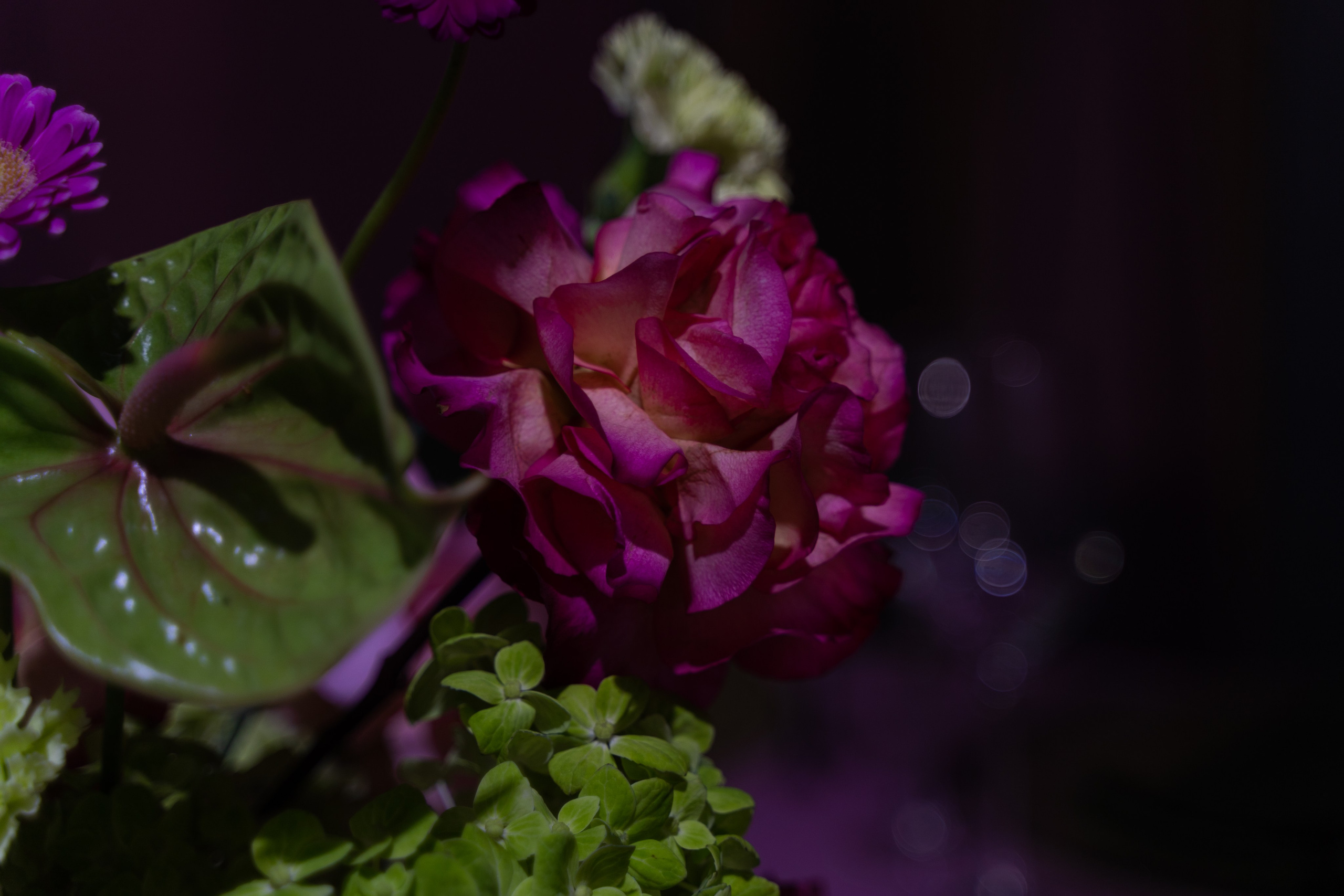 R | A. Фотограф и видеограф в Москве и Абу Даби Мария Кулагина