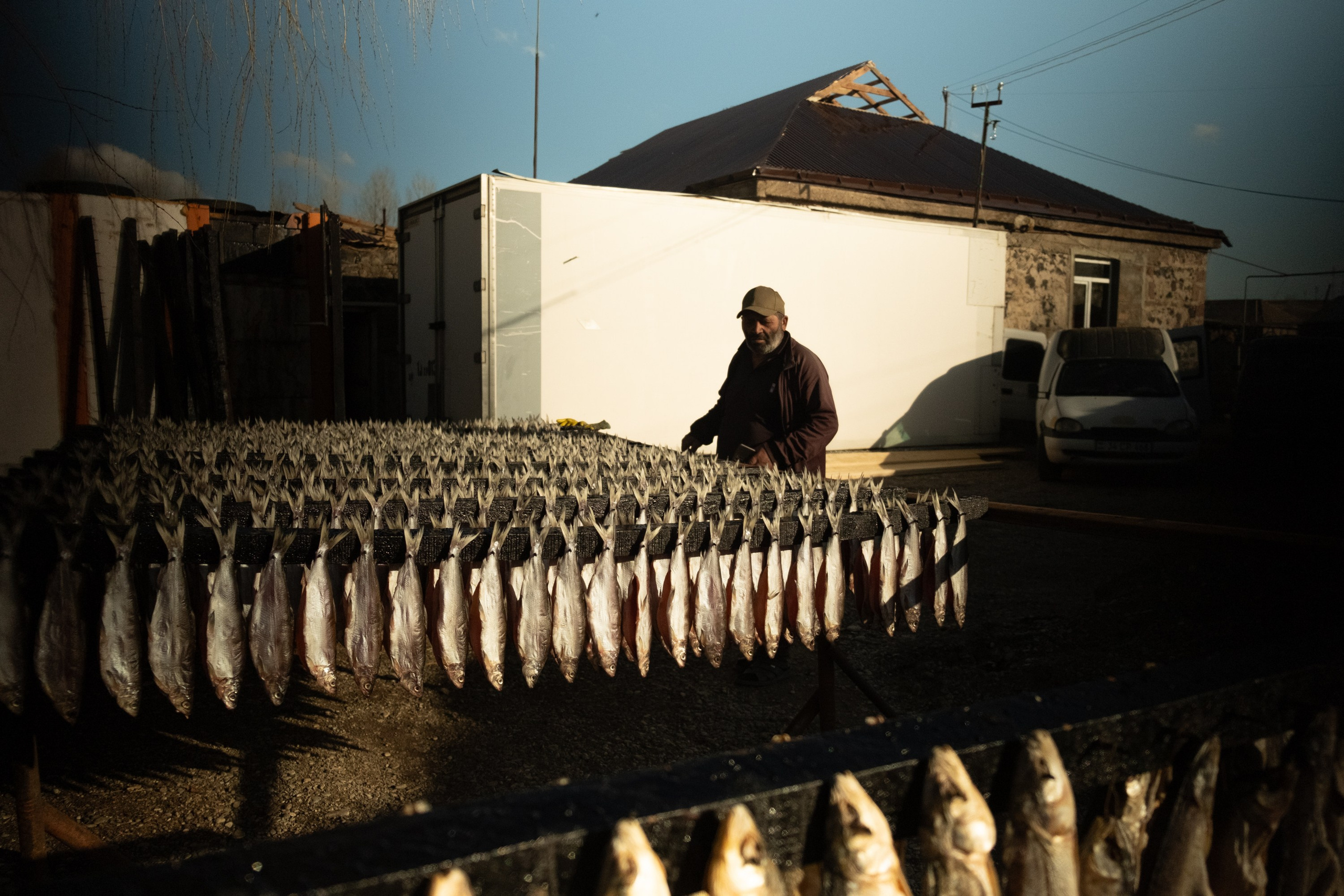 — Sevan (ongoing). Kirillov Egor