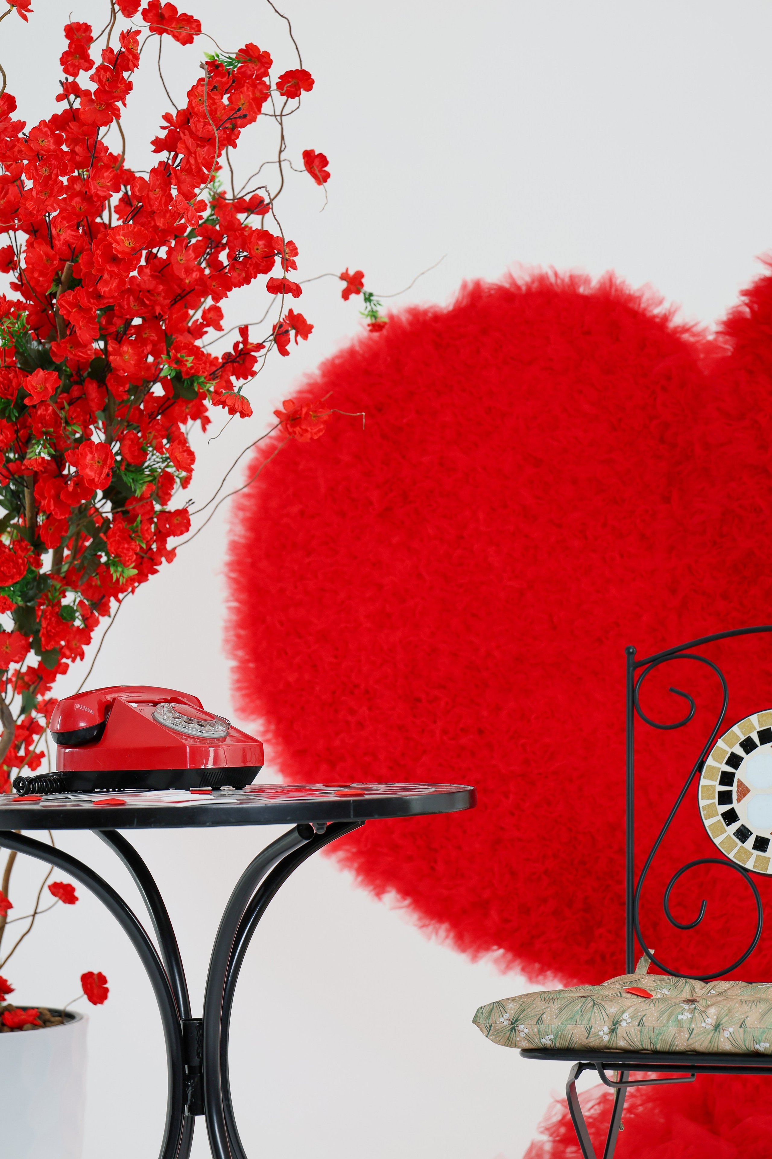 Фотостудия в Краснодаре