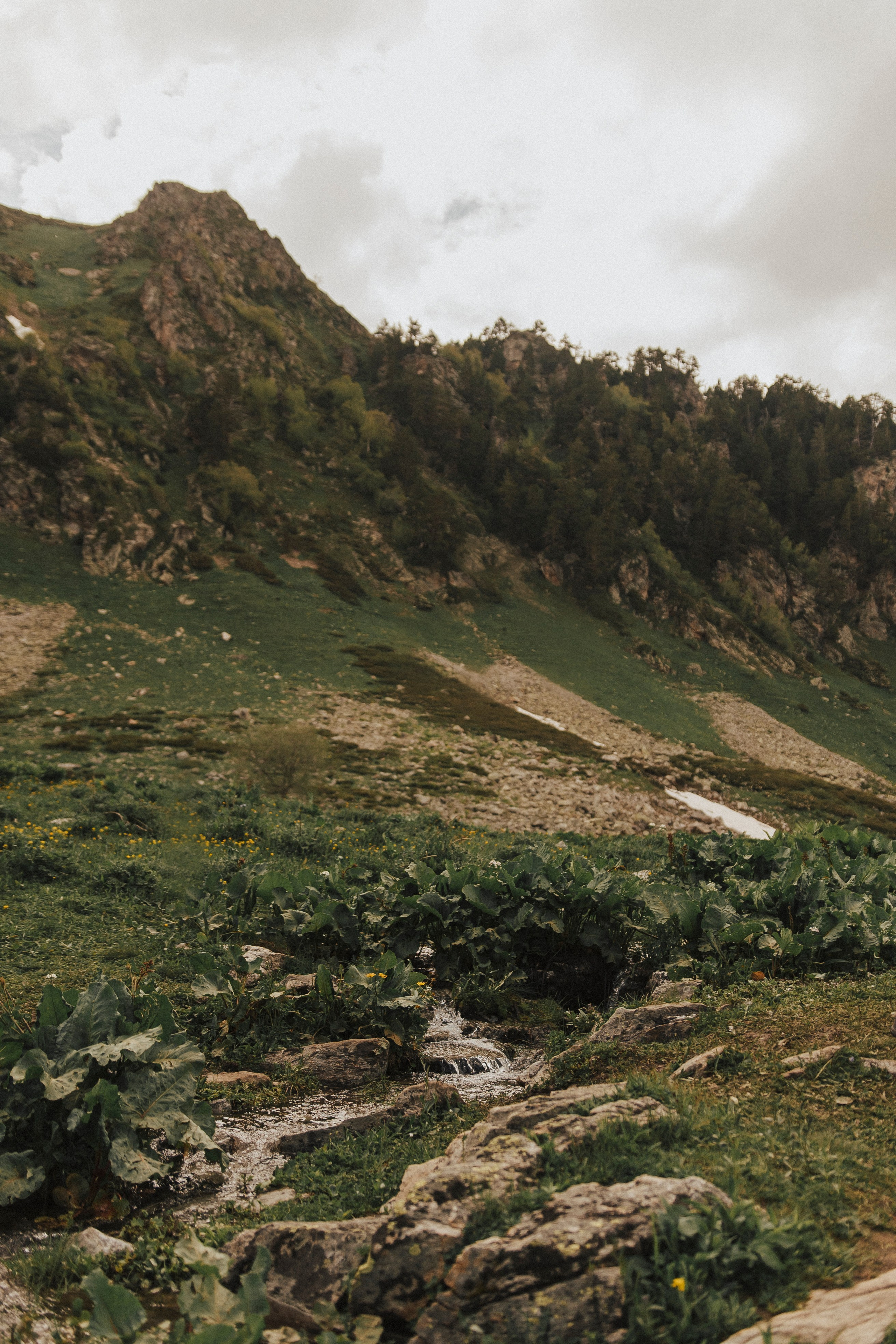 НАША ВЫСОТА 2280. Фотограф Настя Конник | Пятигорск | Эльбрус | Домбай | Архыз | Видеограф КМВ