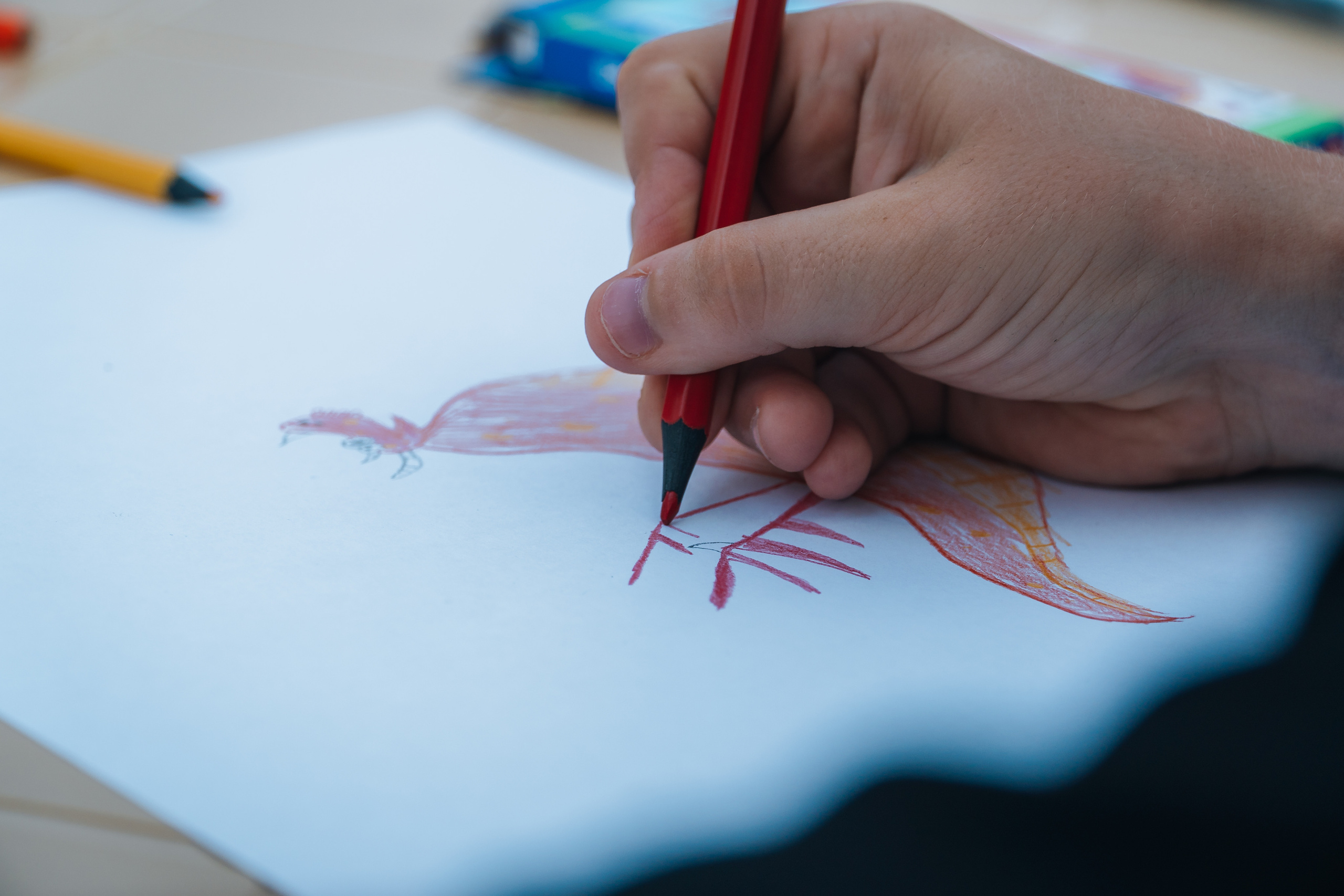 Фестиваль рисунков «Братья наши меньшие». Новотитаровский Дом культуры