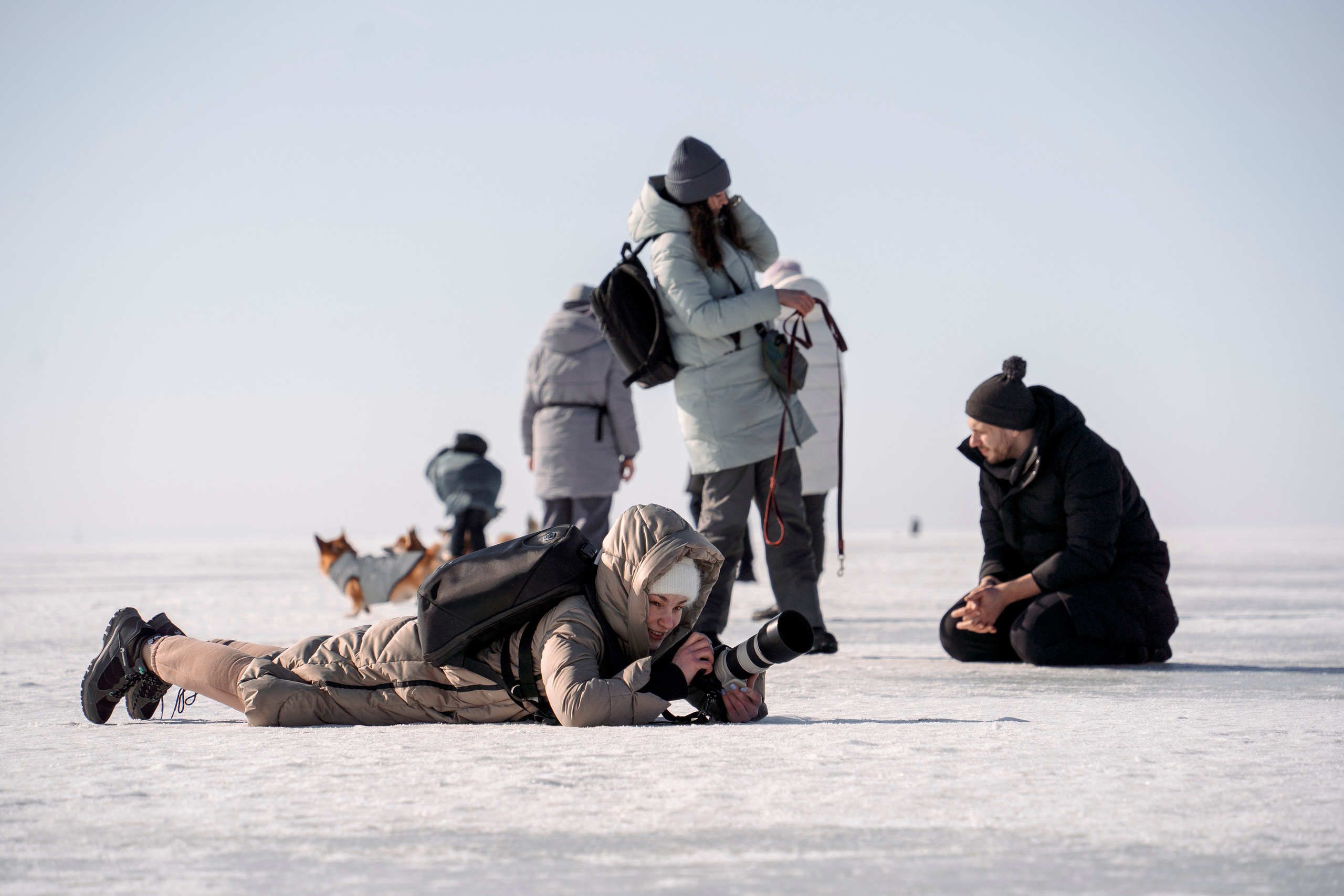 Обо мне. Фотограф — Анималист | Санкт-Петербург