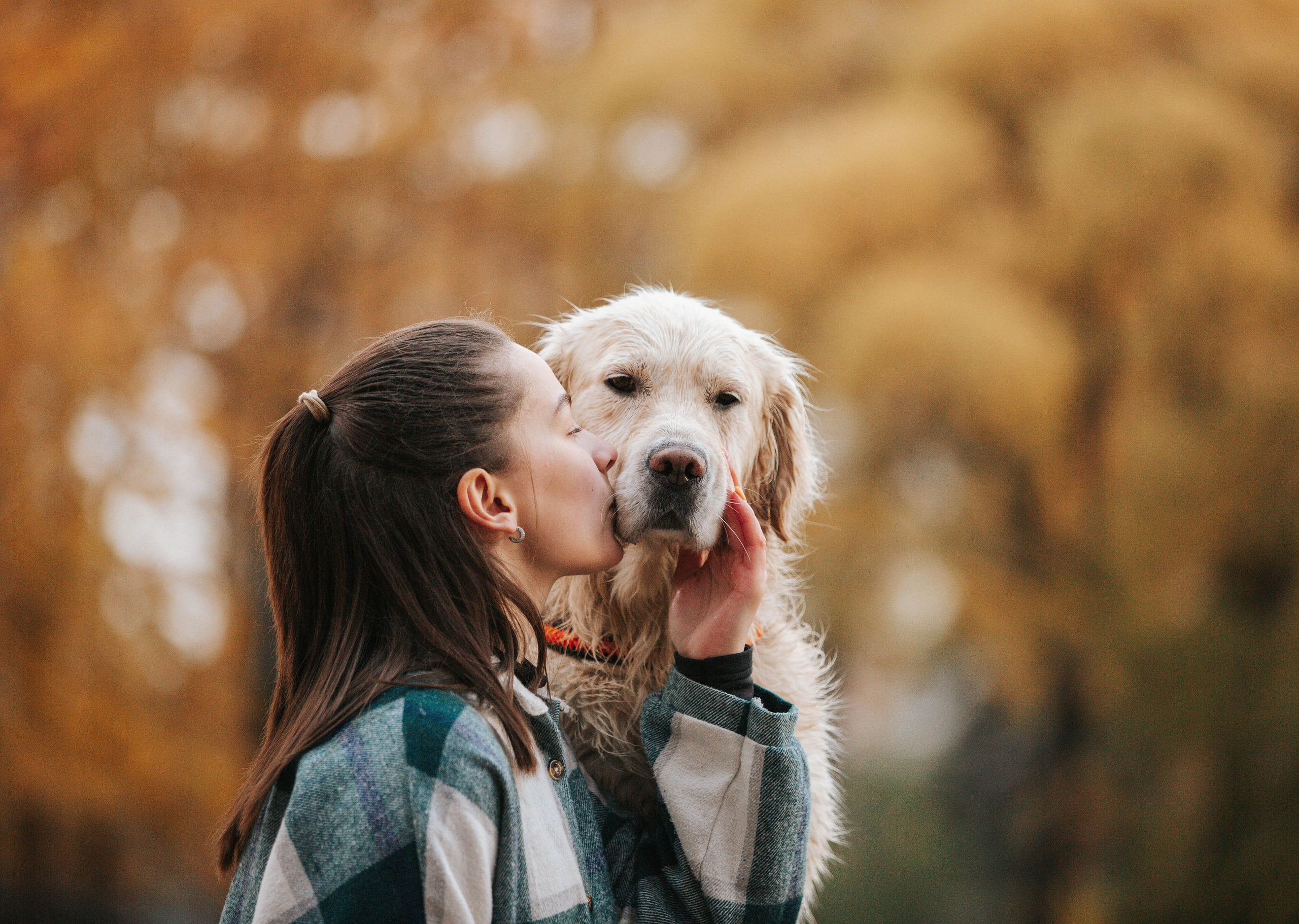 Обо мне. Фотограф — Анималист | Санкт-Петербург