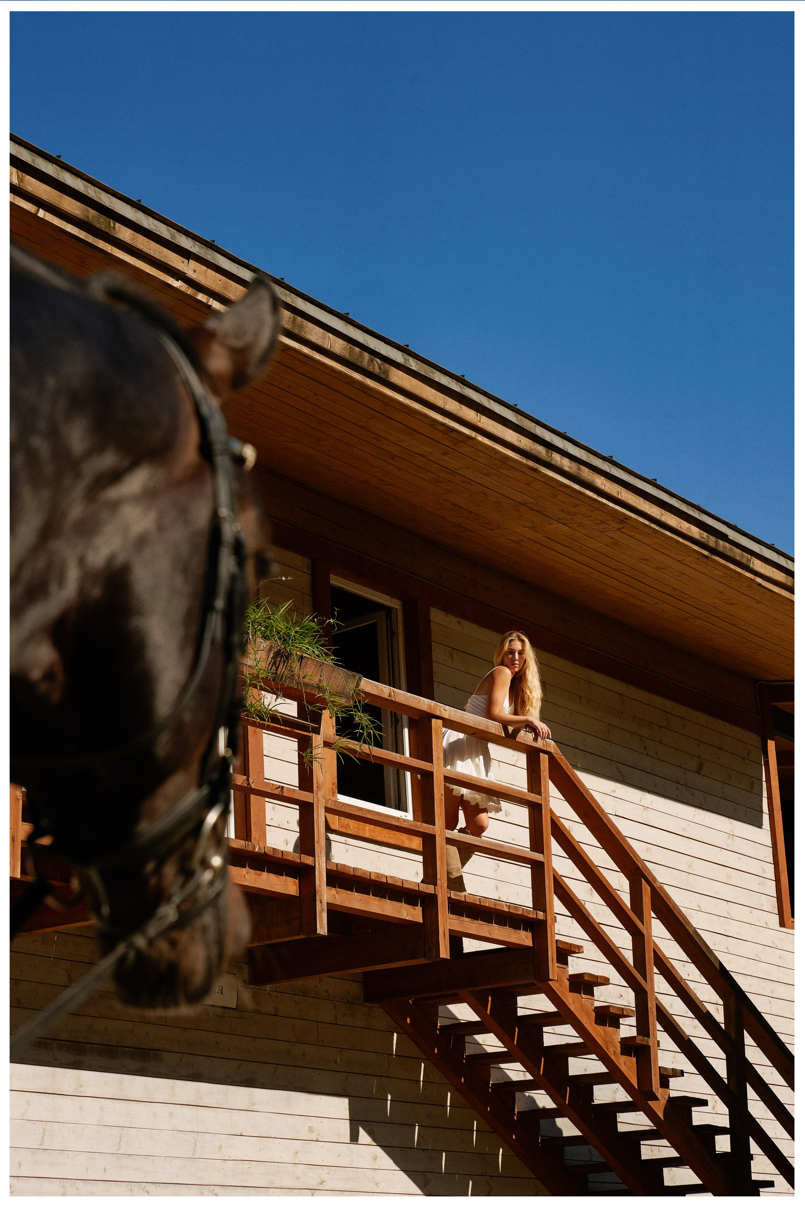 Конные съемки. Фотограф Москва Кристина Джоанна