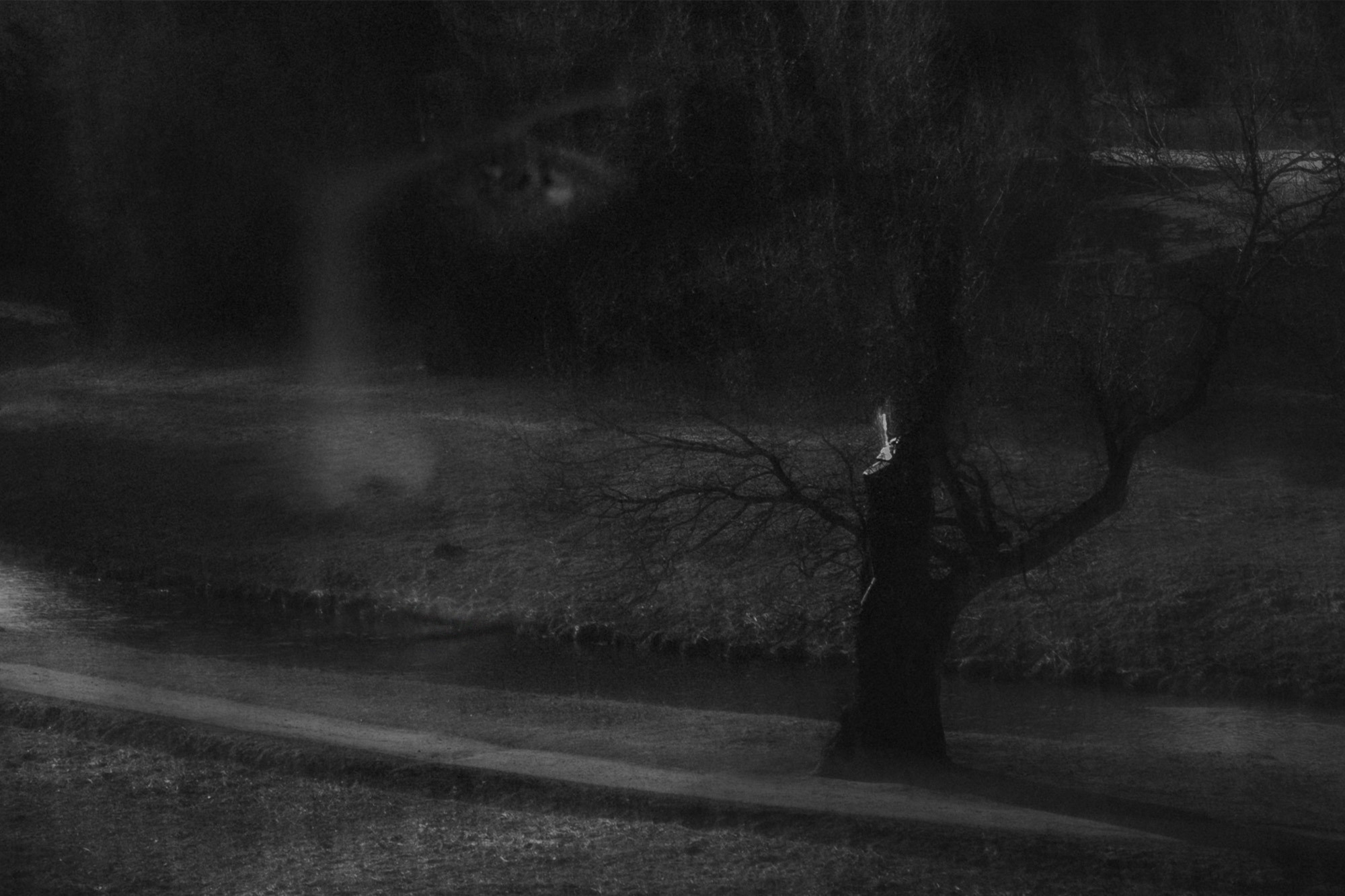 Dreams of Pavlovsk Park. Alla Remizova, photographer