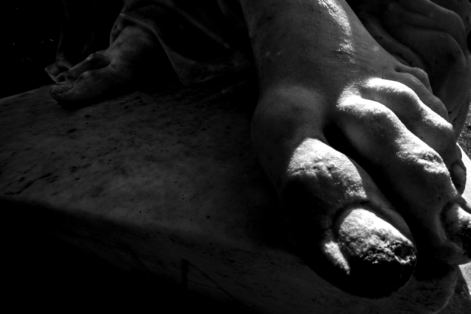 Dreams of Pavlovsk Park. Alla Remizova, photographer