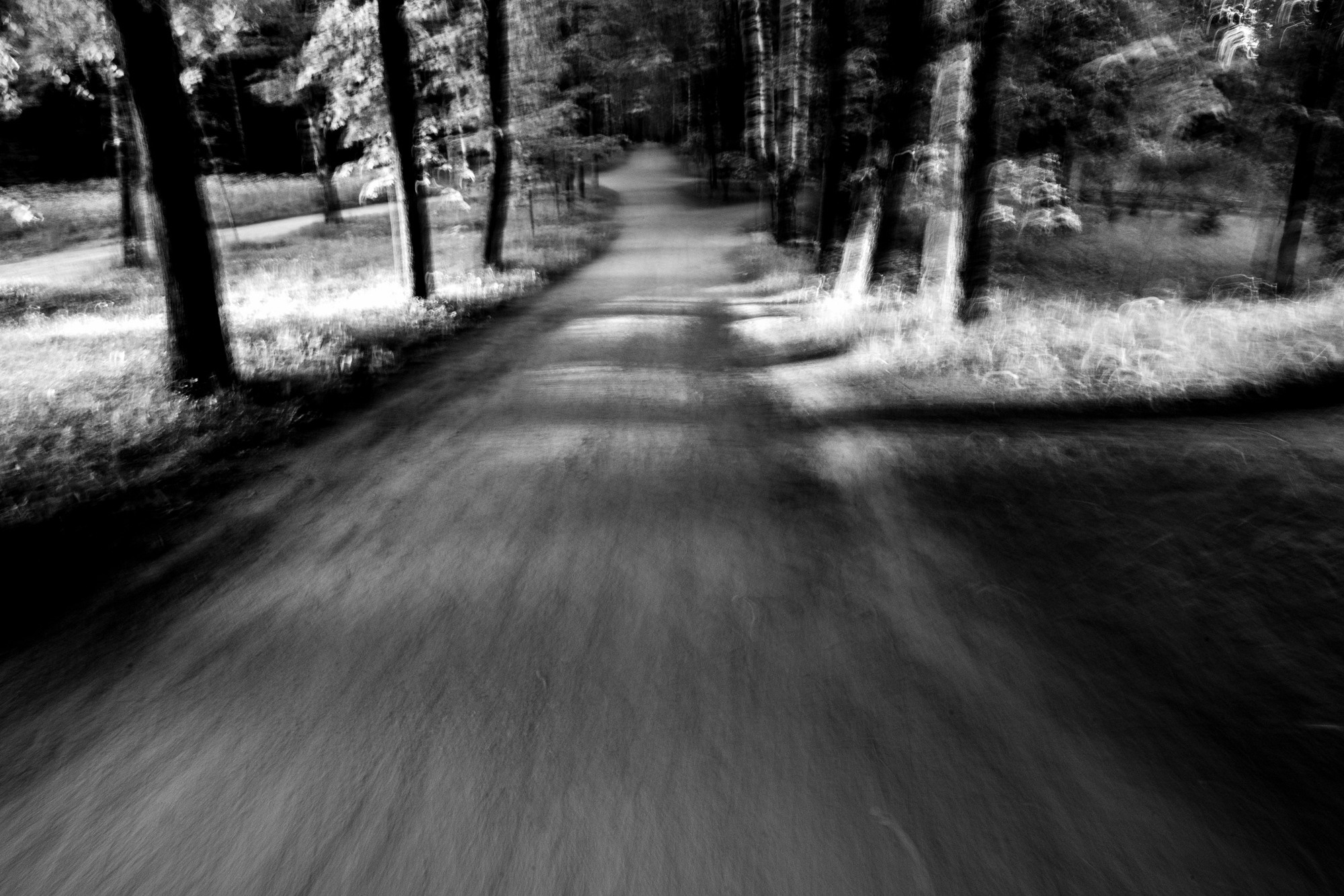 Dreams of Pavlovsk Park. Alla Remizova, photographer