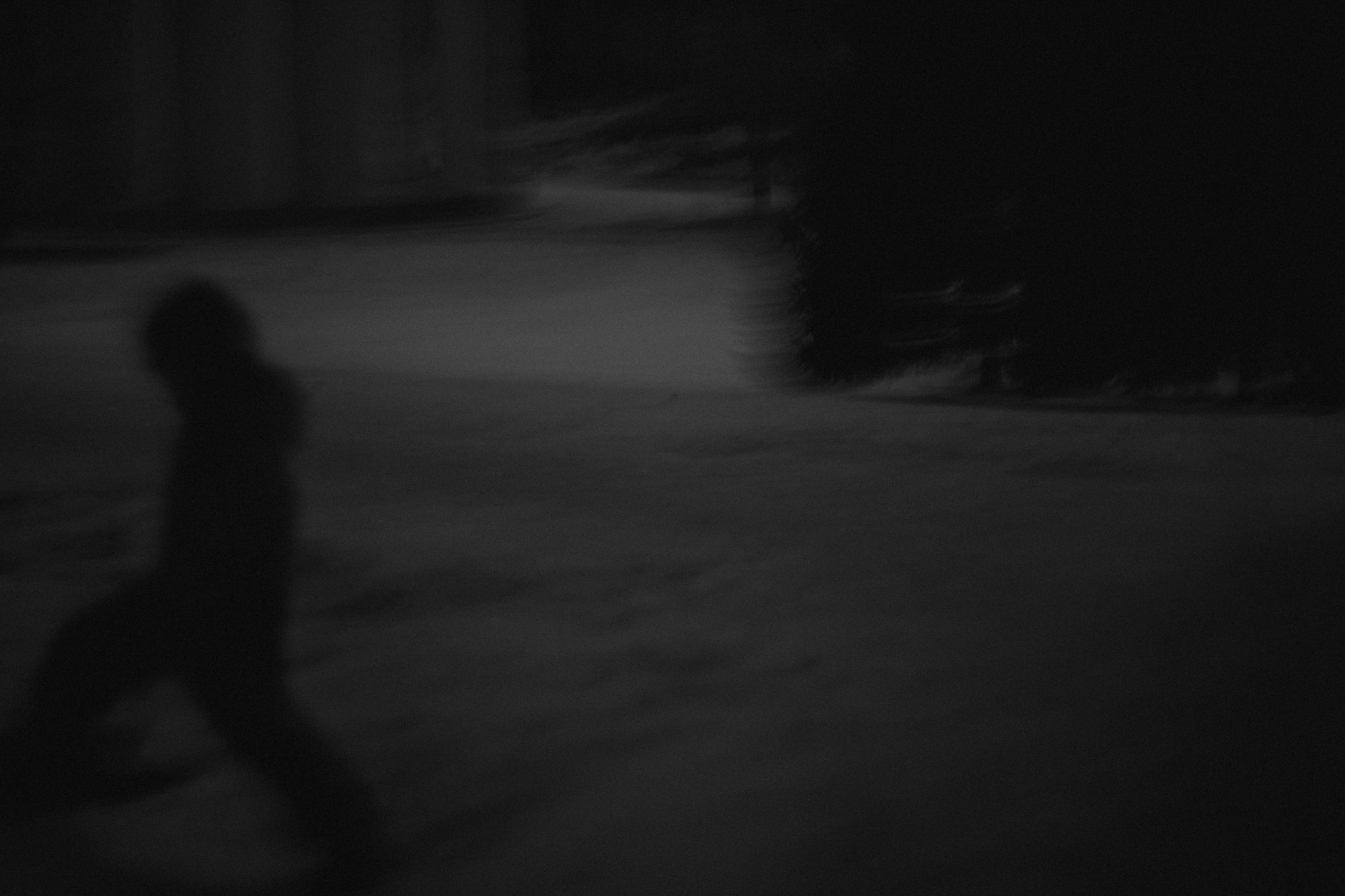 Dreams of Pavlovsk Park. Alla Remizova, photographer