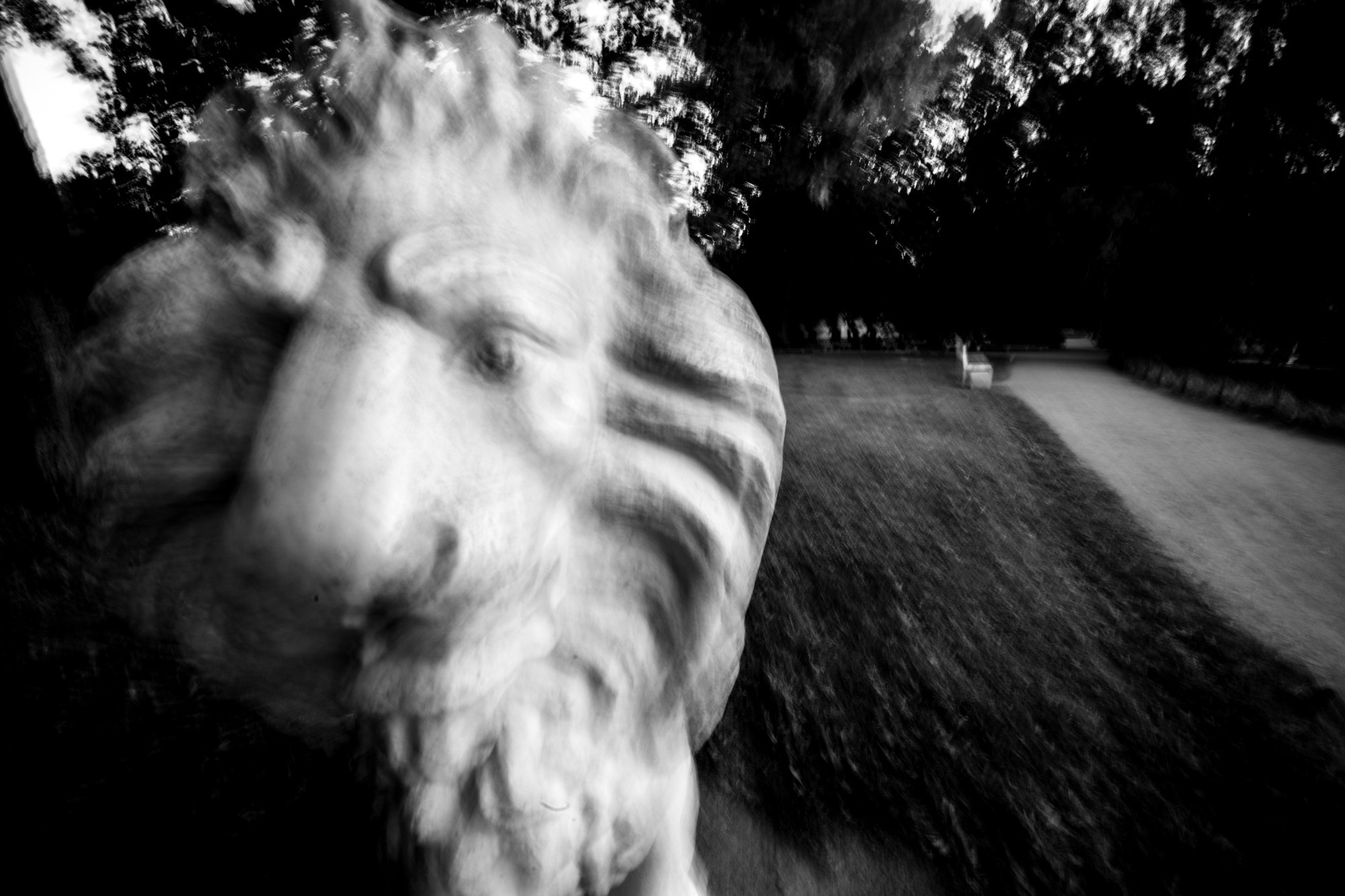 Dreams of Pavlovsk Park. Alla Remizova, photographer