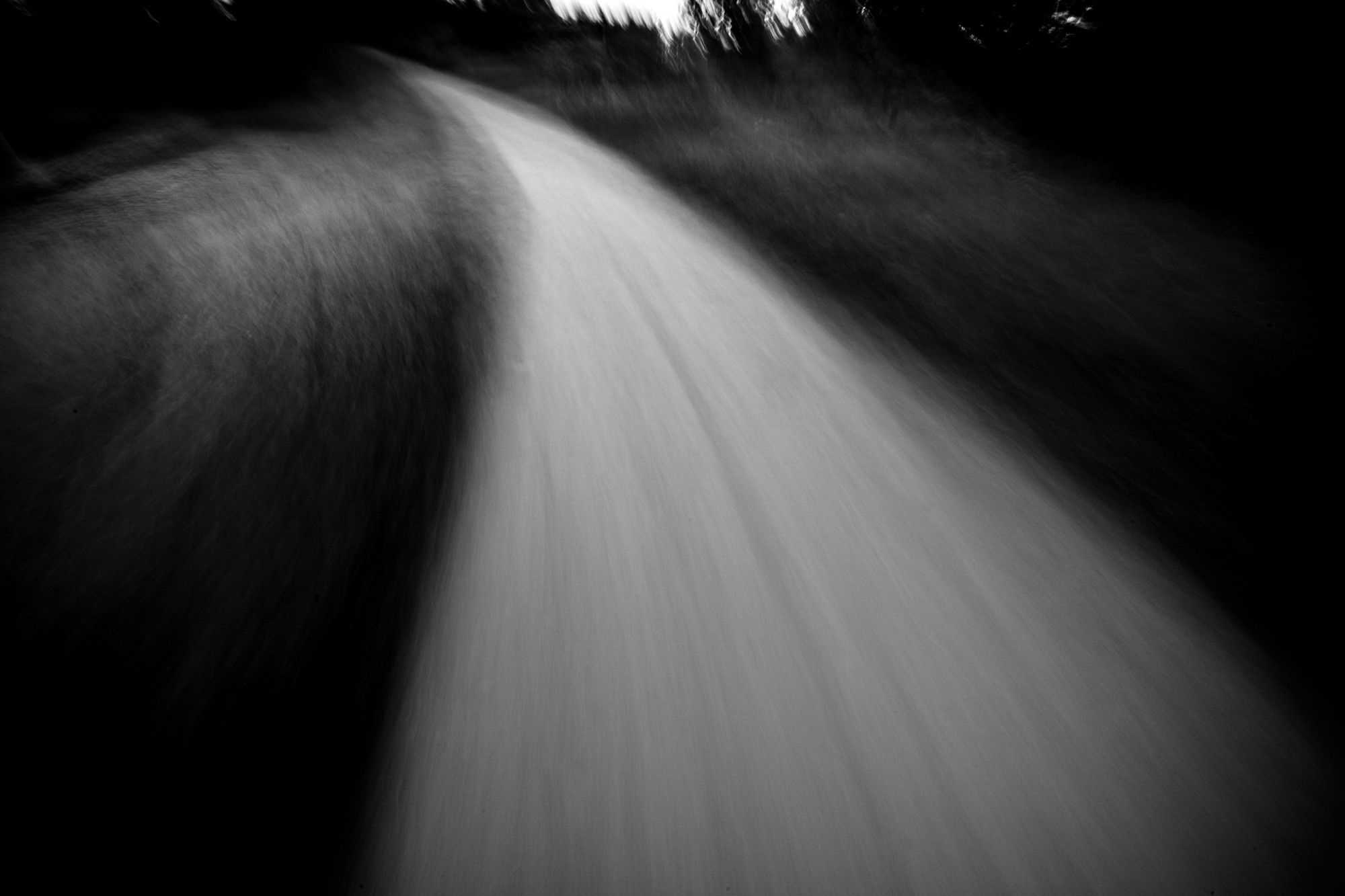 Dreams of Pavlovsk Park. Alla Remizova, photographer