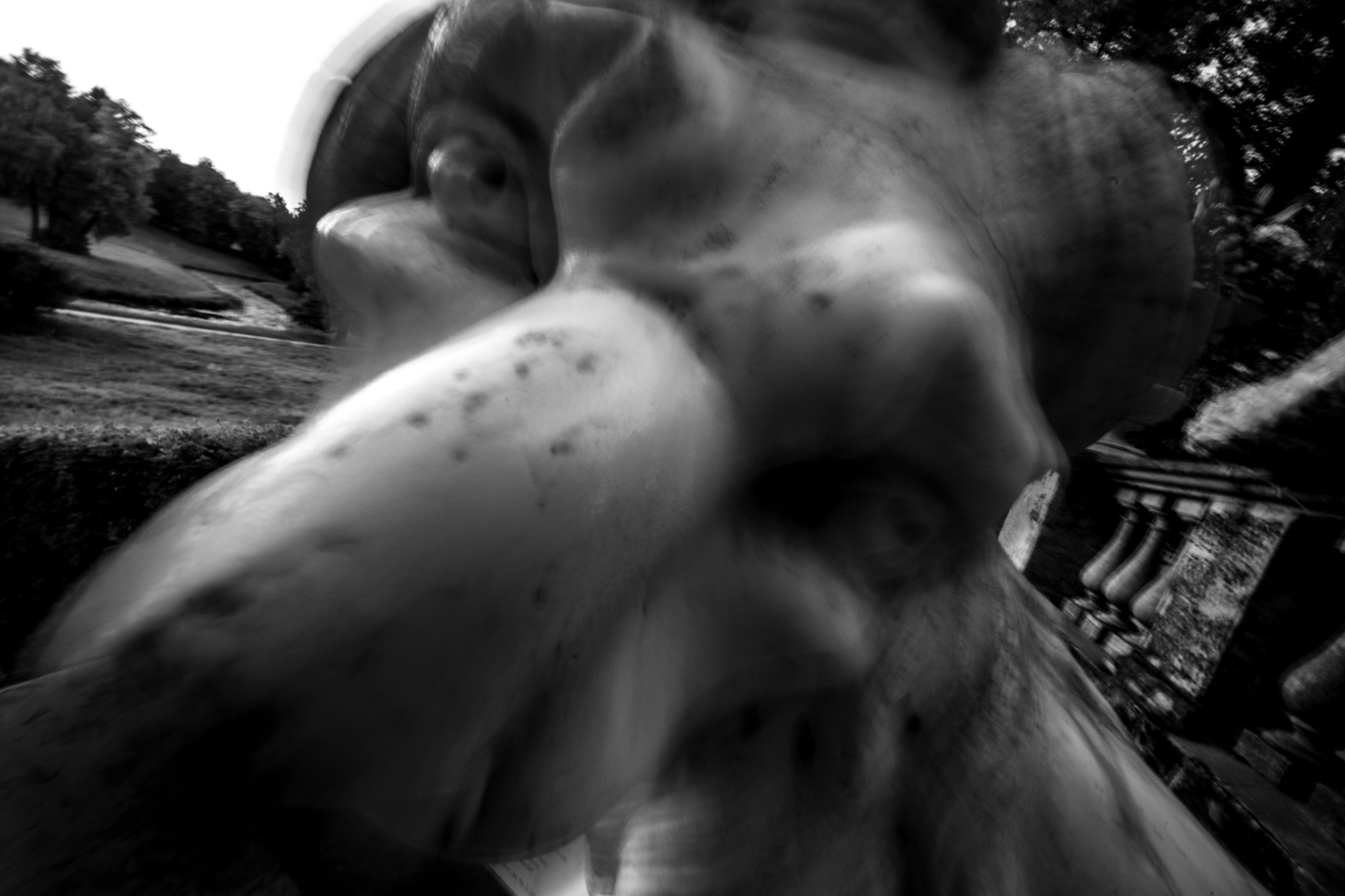 Dreams of Pavlovsk Park. Alla Remizova, photographer