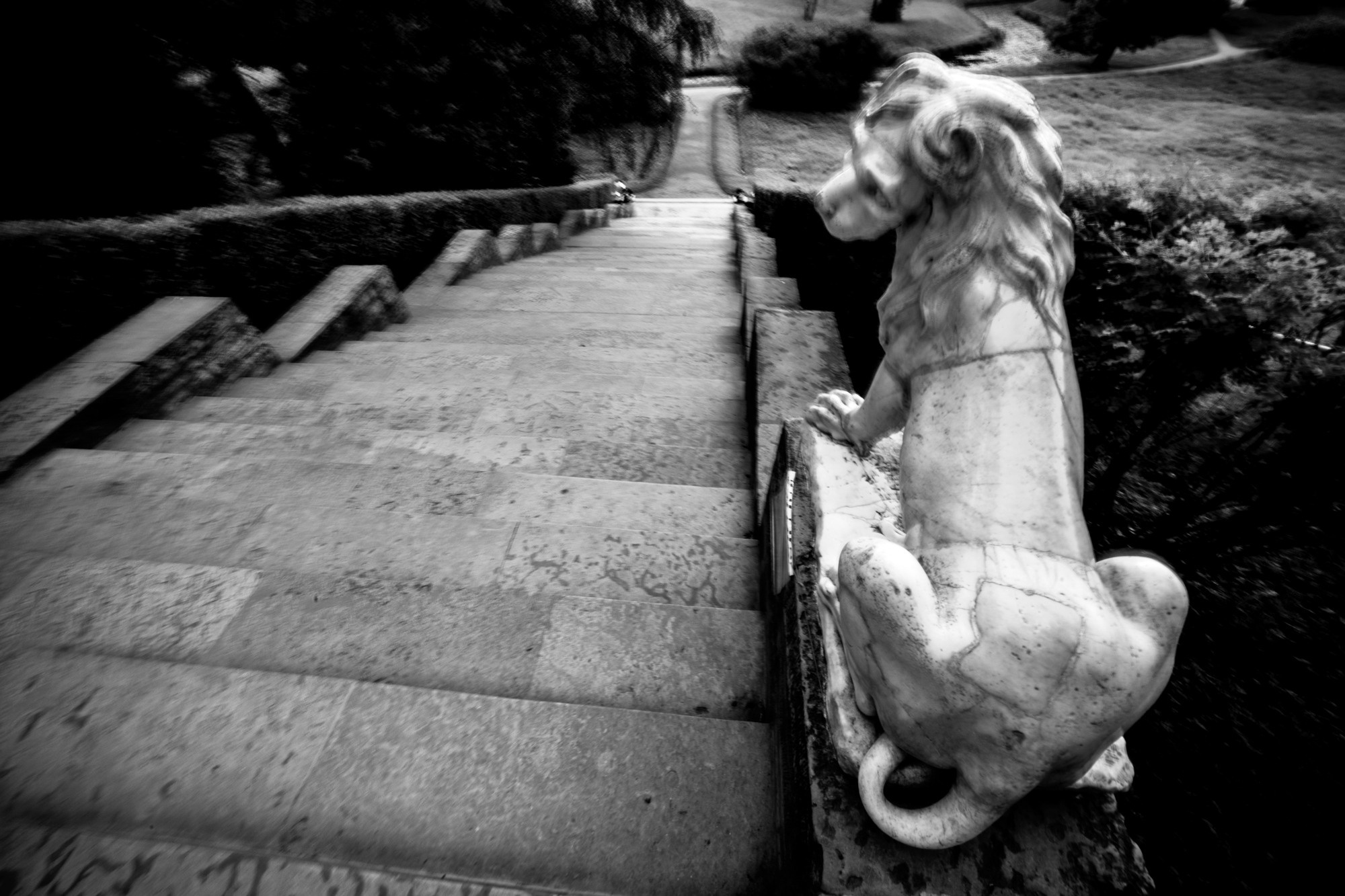 Dreams of Pavlovsk Park. Alla Remizova, photographer
