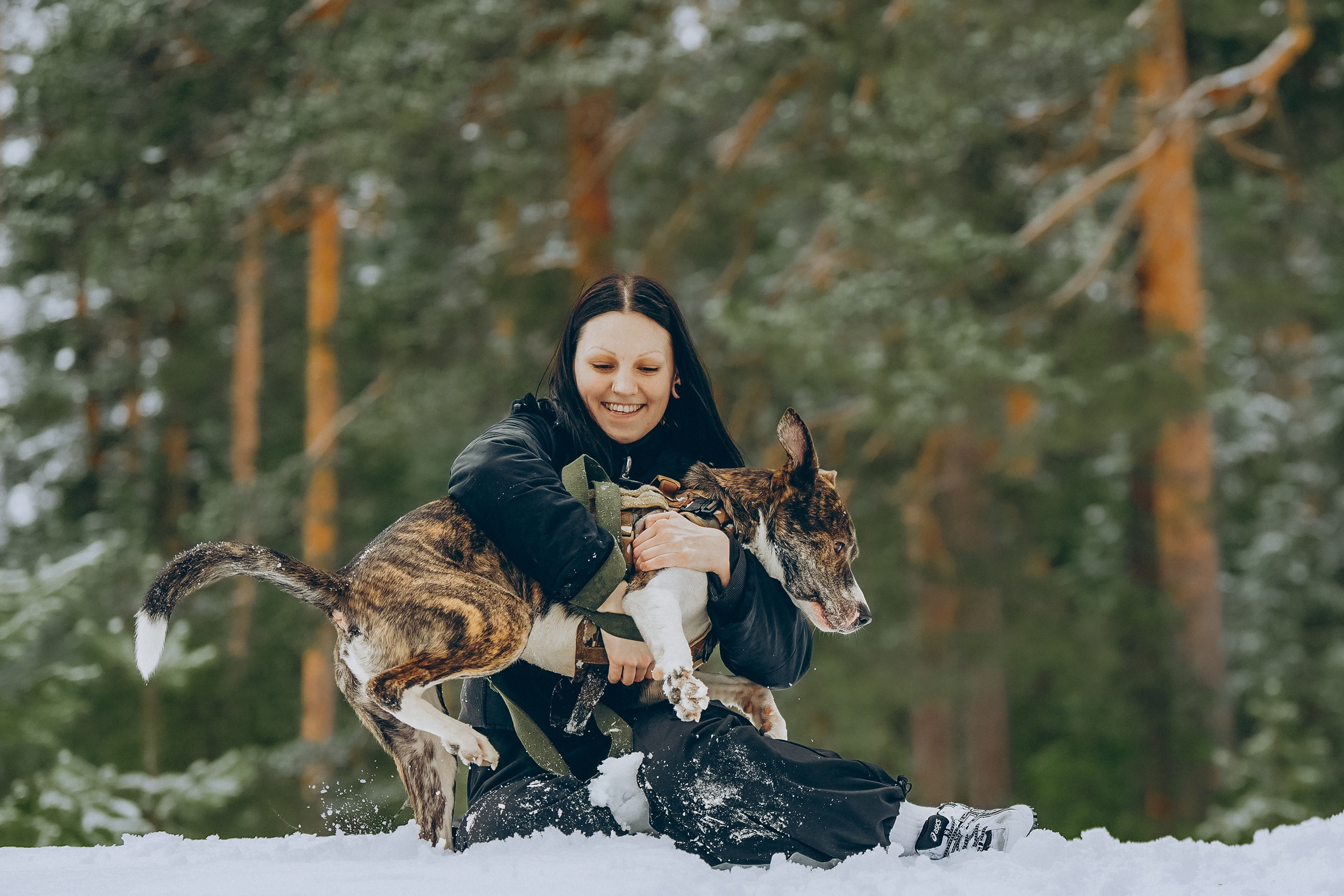 Гарм и Юна. Фотограф анималист в Спб недорого Олеся Майорова