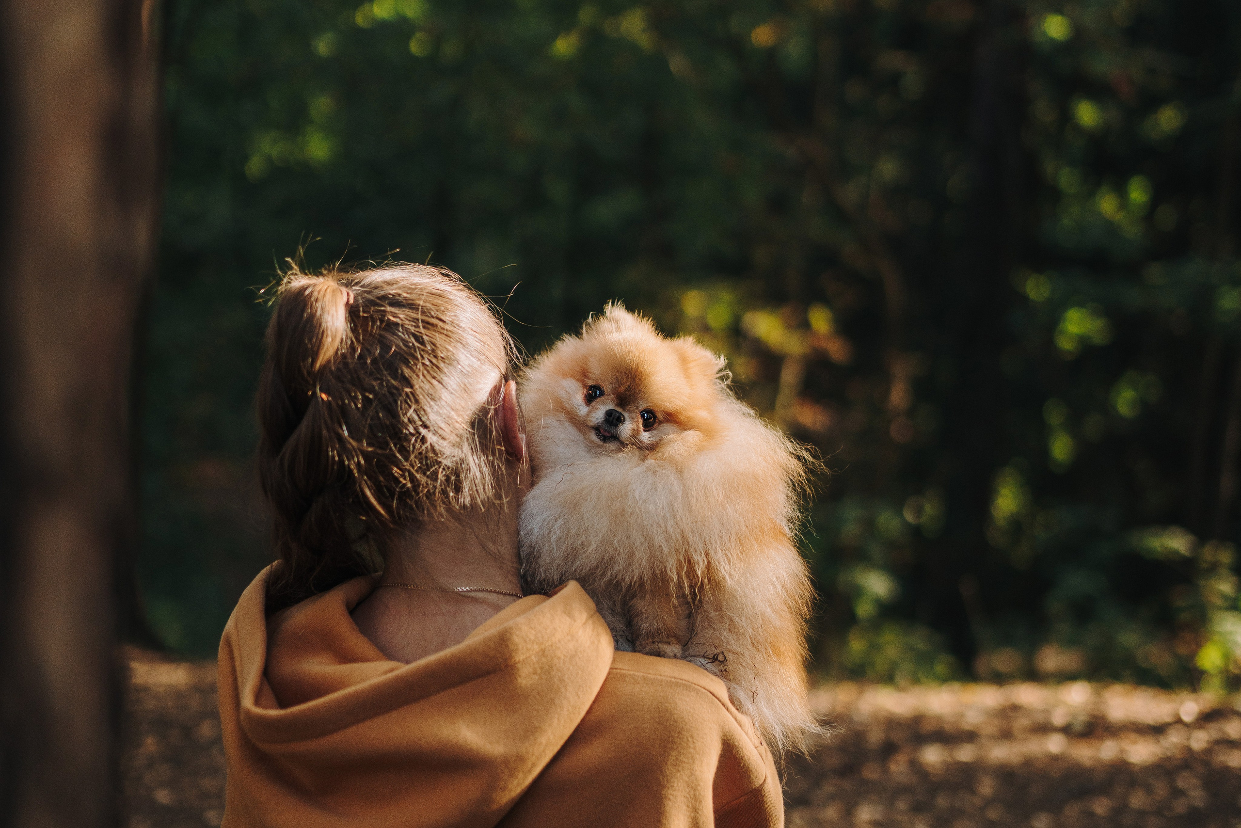 Цены за фотосессию с собакой. Фотограф анималист в Спб недорого Олеся Майорова
