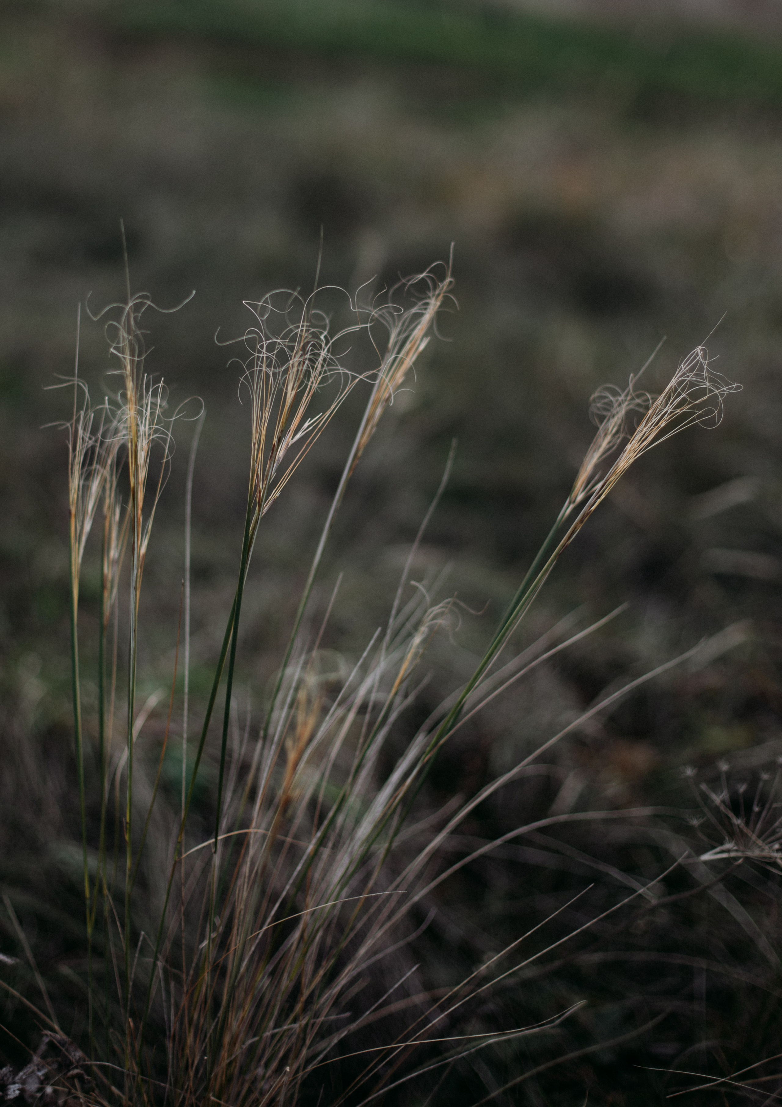 Дороги земли ветров. Портретный фотограф в Москве и Геленджике Кирилл Вахитов
