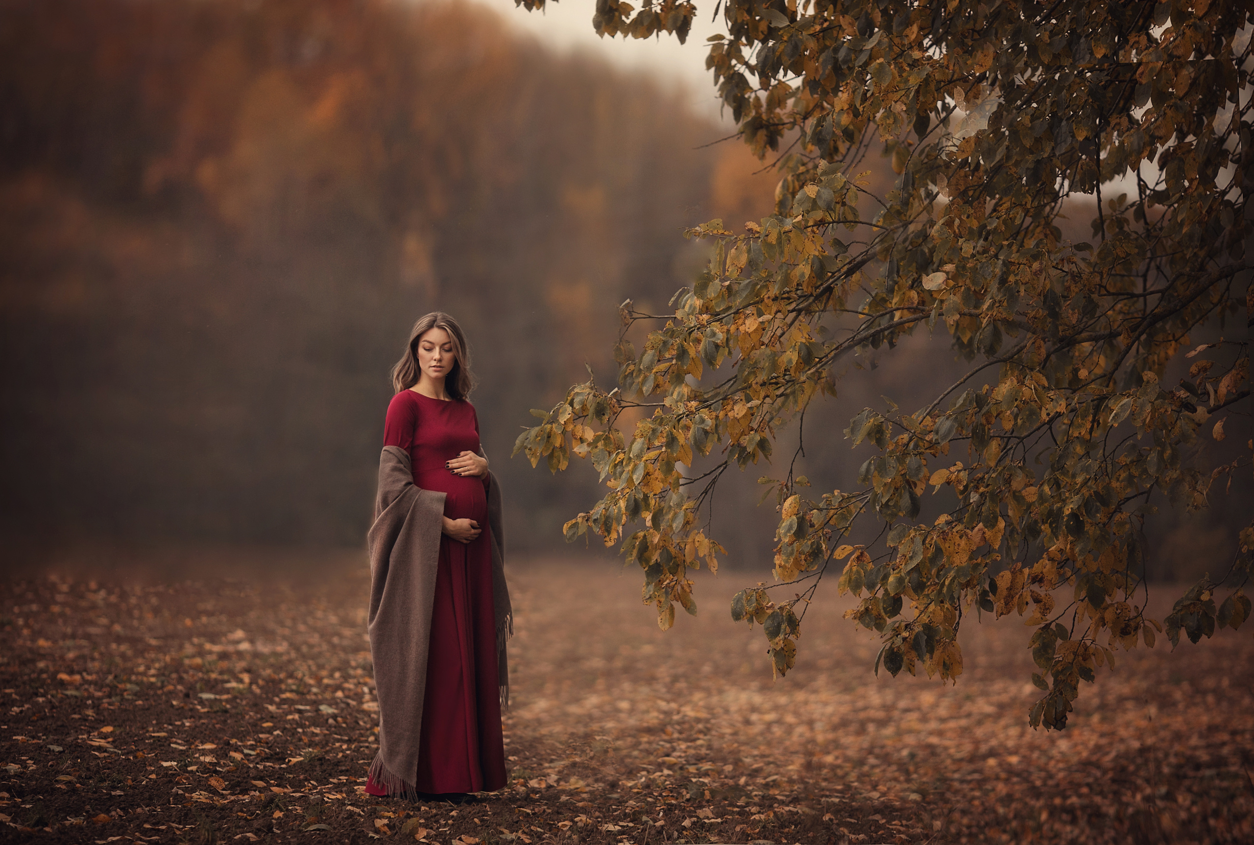 Услуги. Фотограф беременности и семейный фотограф в Могилеве, Минске Елена Шин