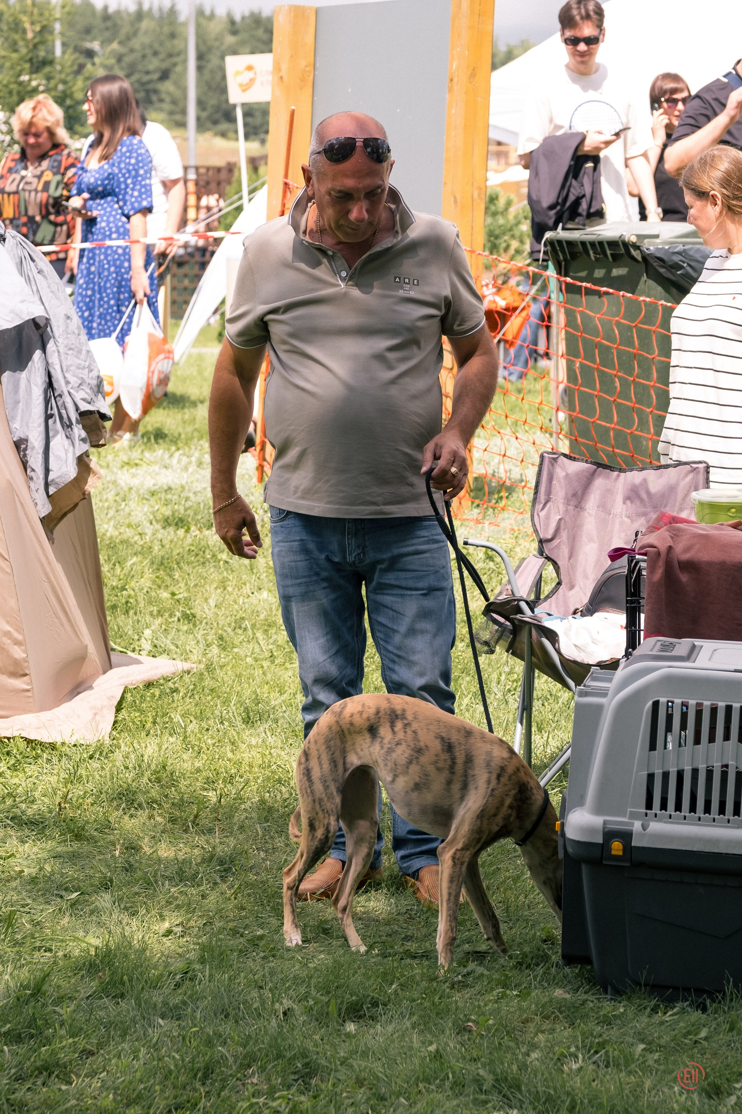 Липецк. Выставка собак. Питомник китайских хохлатых собак Poale Ell: купить щенка