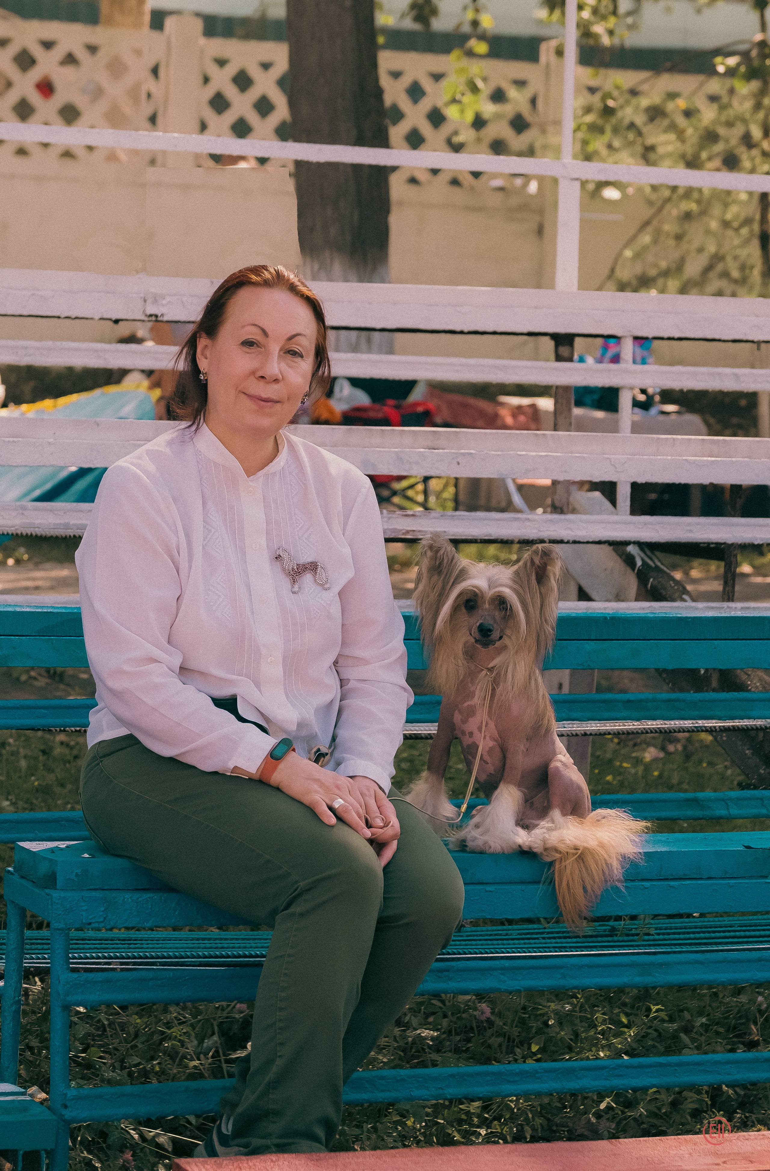 20.08.2023 Тула. Выставка собак