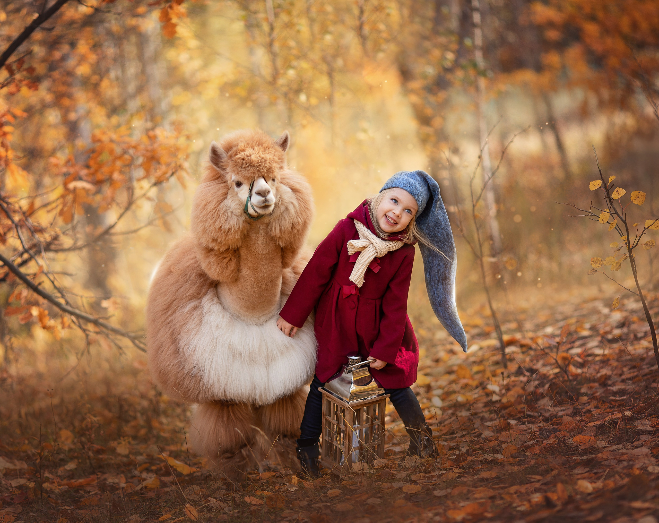 фотосессия с альпакой, сказочная Фотосессия , Фотосессия с альпаками , Фотосессия с ламой, Фотосессия с животными, фотограф москва фотограф Лия Милк, съемка с животными, сказочная фотосессия