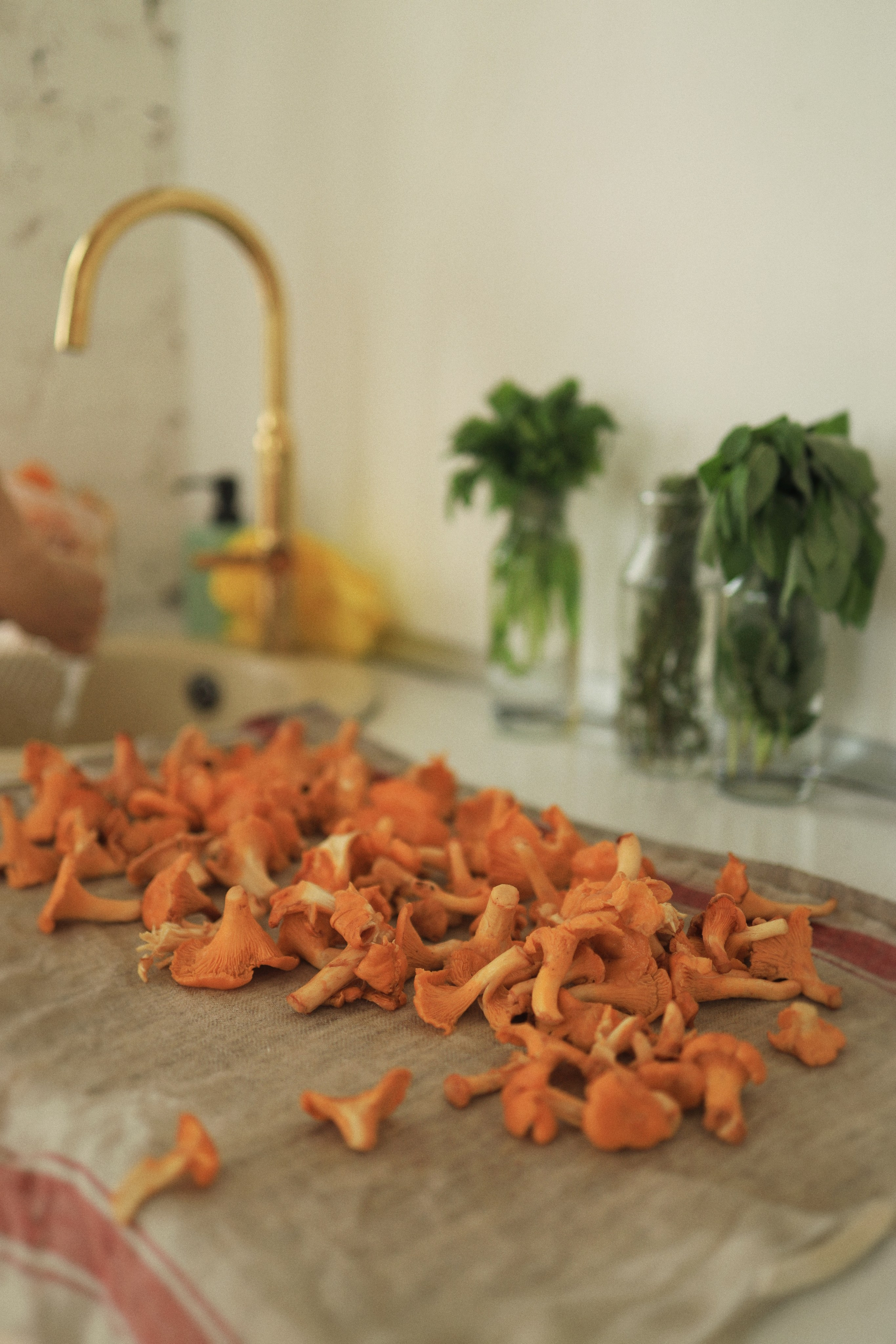 Cooking class by Cook Kruzhok | 2023. POLINA MÔMOT