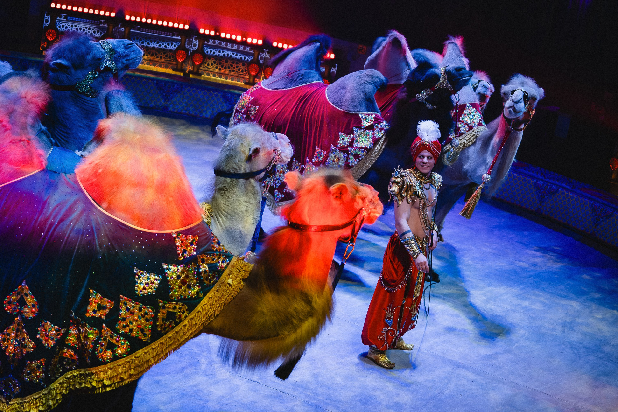 Пресс-показ шоу «Песчаная Сказка». Воробьева Ксения — Спортивный и танцевальный фотограф Новосибирск