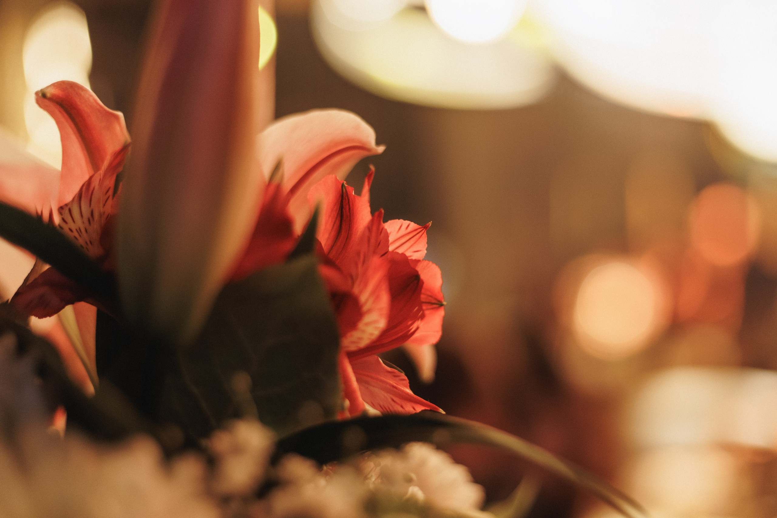 B.DAY PARTY ЖУРНАЛА •G. СВОИ. ФОТООТЧЕТЫ-СОБЫТИЯ-МЕСТА